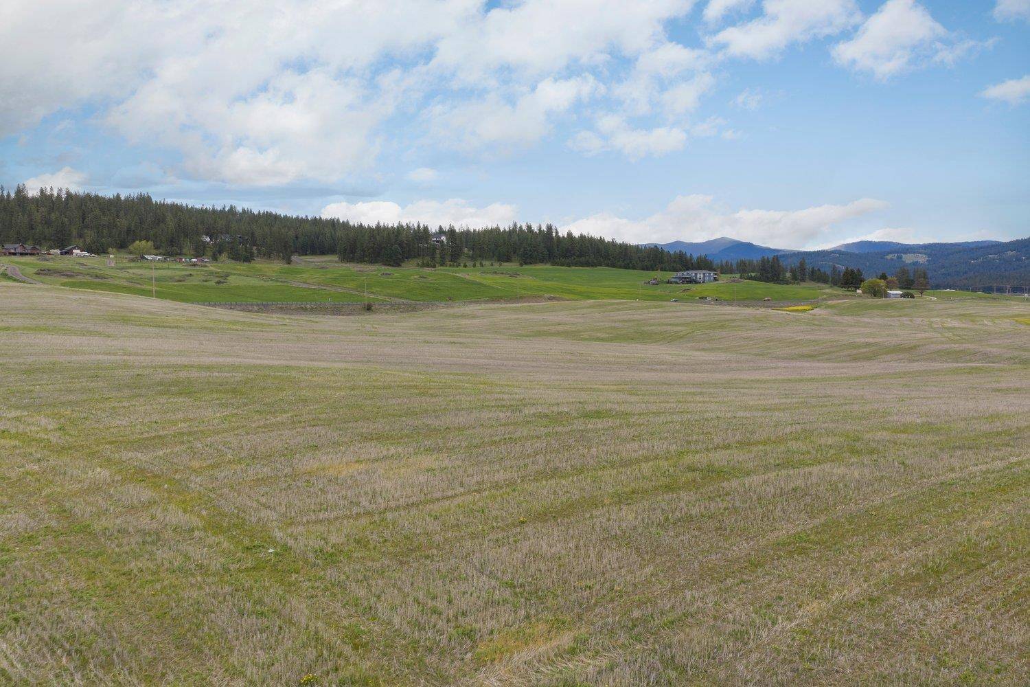 9905 E Peone Landing Ln, Mead, WA 99201