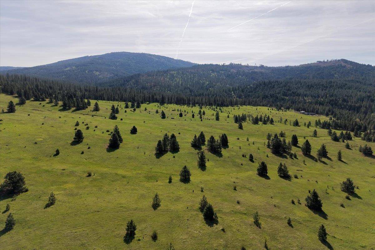 TBD E Belmont Rd, Mica, WA 99023