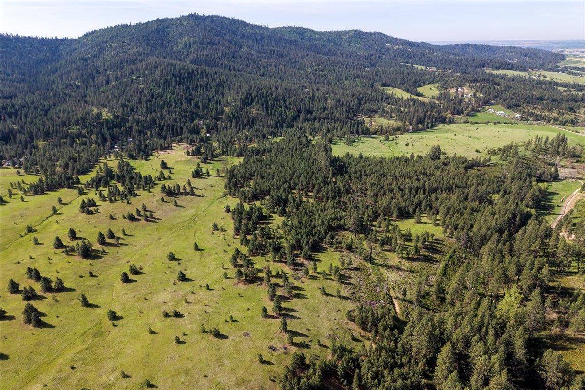 TBD E Belmont Rd, Mica, WA 99023