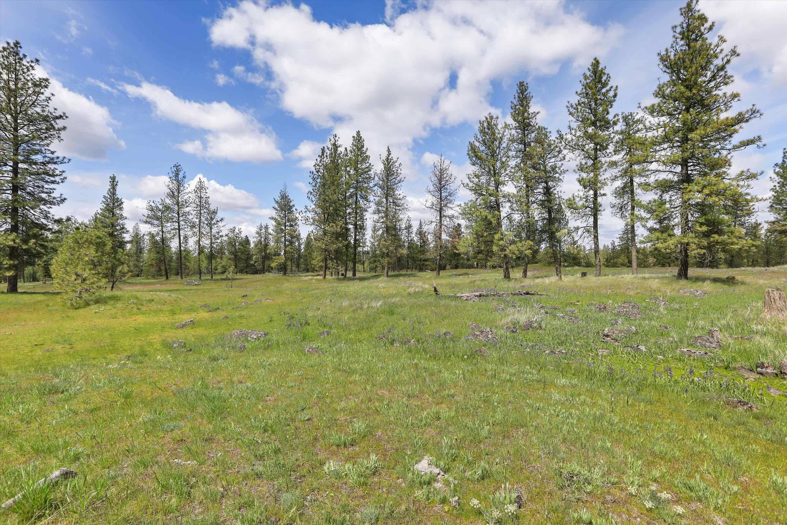NKA Malloy Prairie Rd #Parcel A, 03032.9048, Cheney, WA 99004