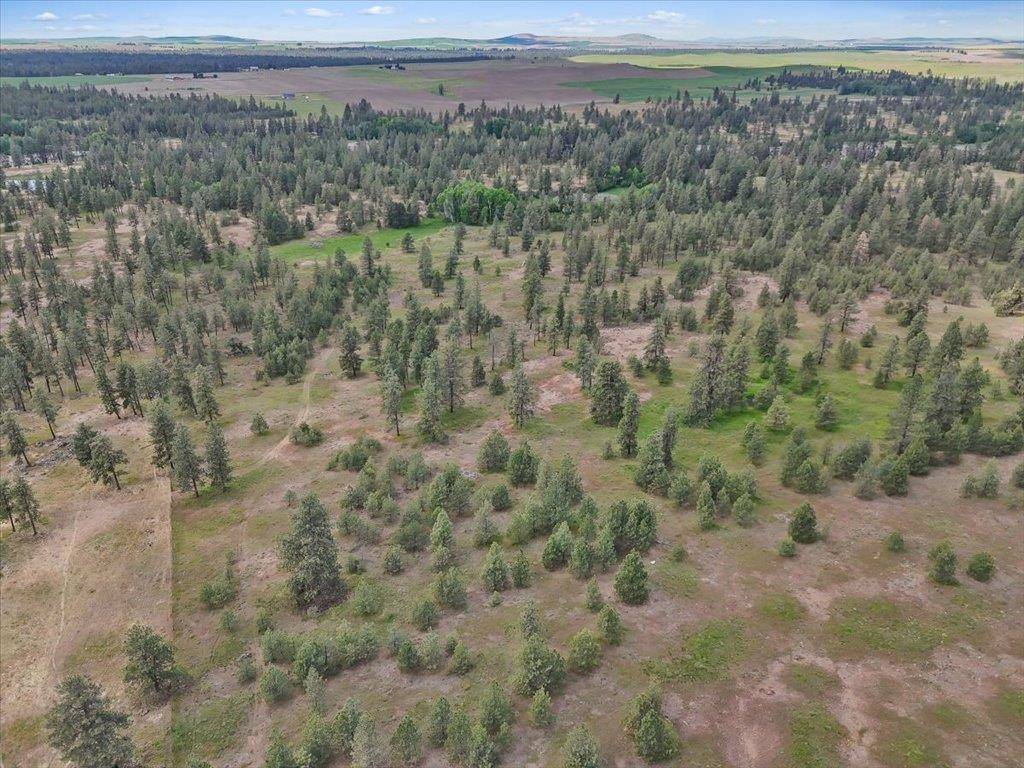 NKA Malloy Prairie Rd #Parcel B, 03032.9049, Cheney, WA 99004