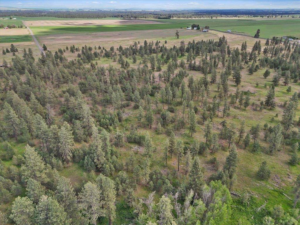 NKA Malloy Prairie Rd #Parcel C, 03032.9050, Cheney, WA 99004