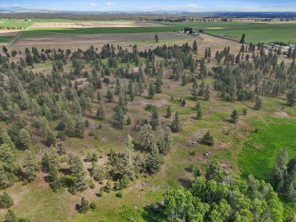 NKA Malloy Prairie Rd #Parcel C, 03032.9050, Cheney, WA 99004