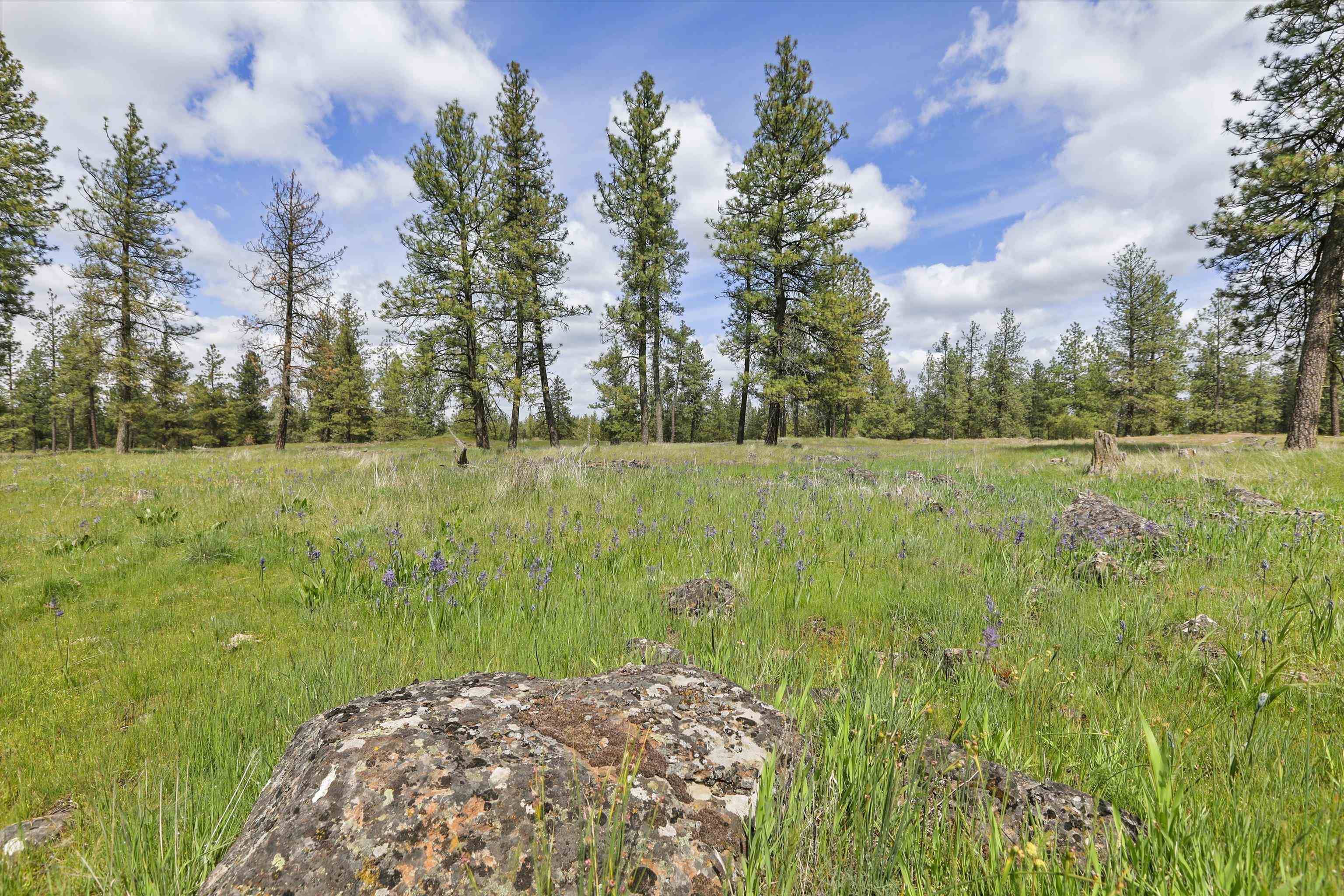 NKA Malloy Prairie Rd #Parcel D, 03032.9051, Cheney, WA 99004