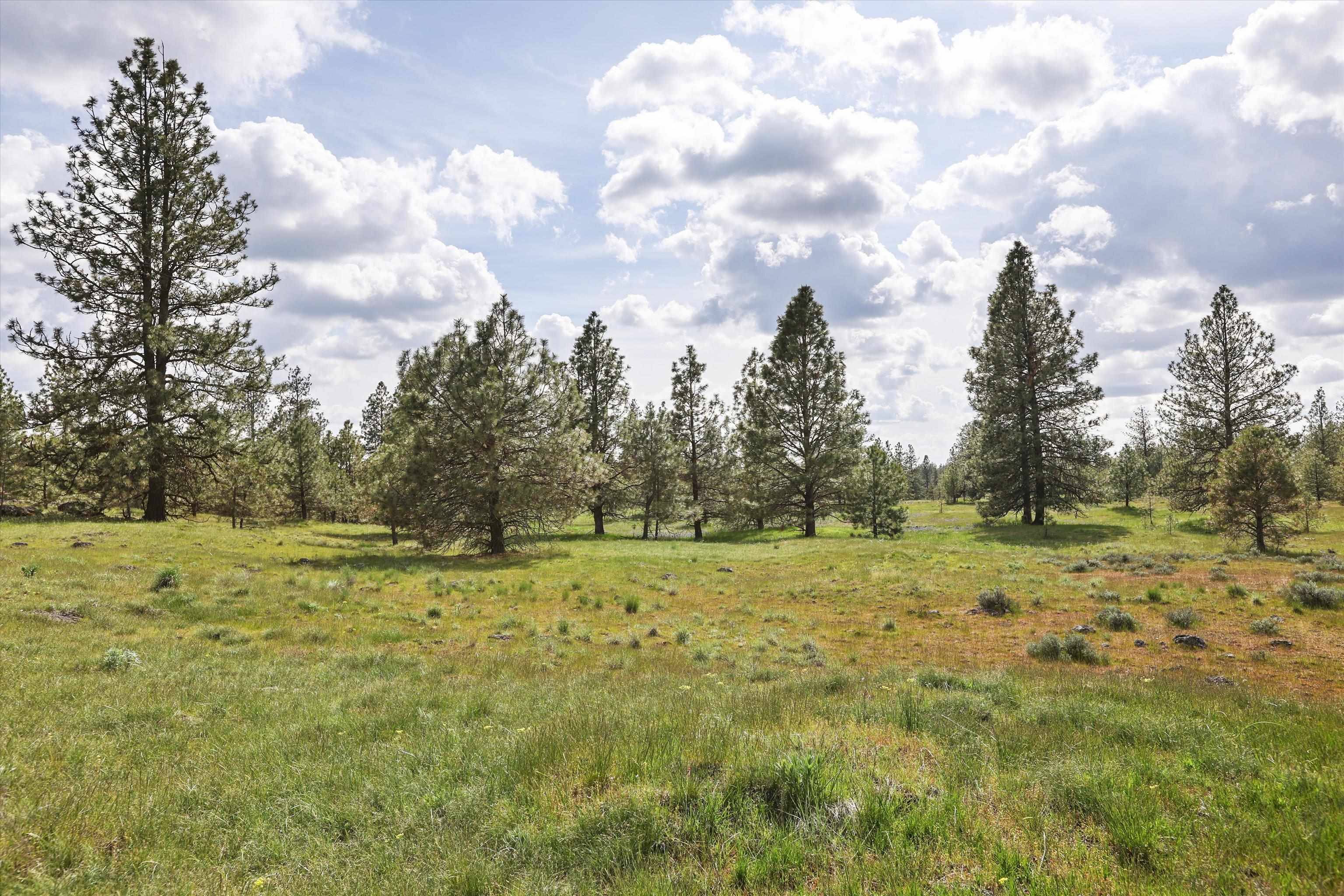 NKA Malloy Prairie Rd #Parcel D, 03032.9051, Cheney, WA 99004