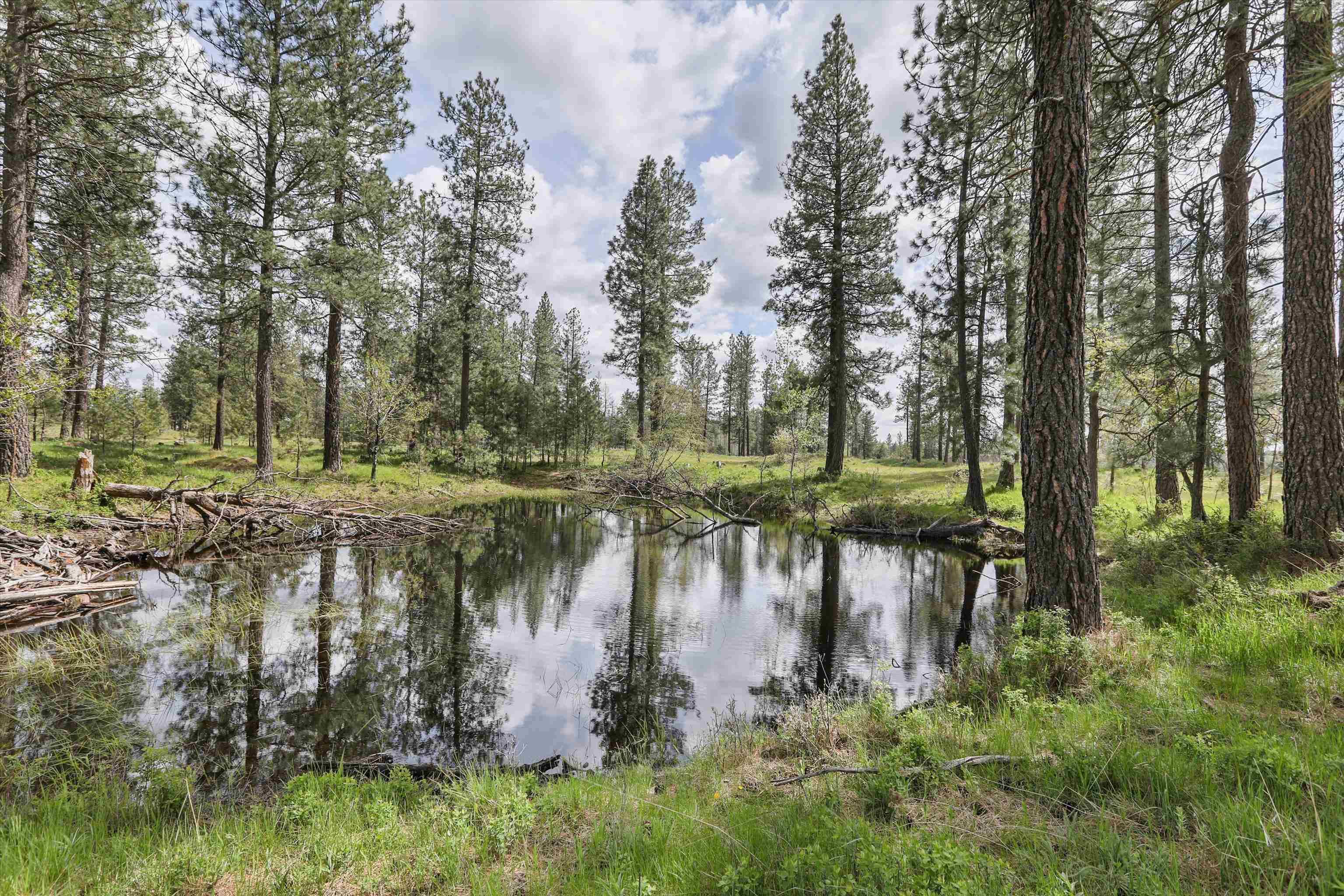 NKA Malloy Prairie Rd #Parcel F, 03032.9053, Cheney, WA 99004