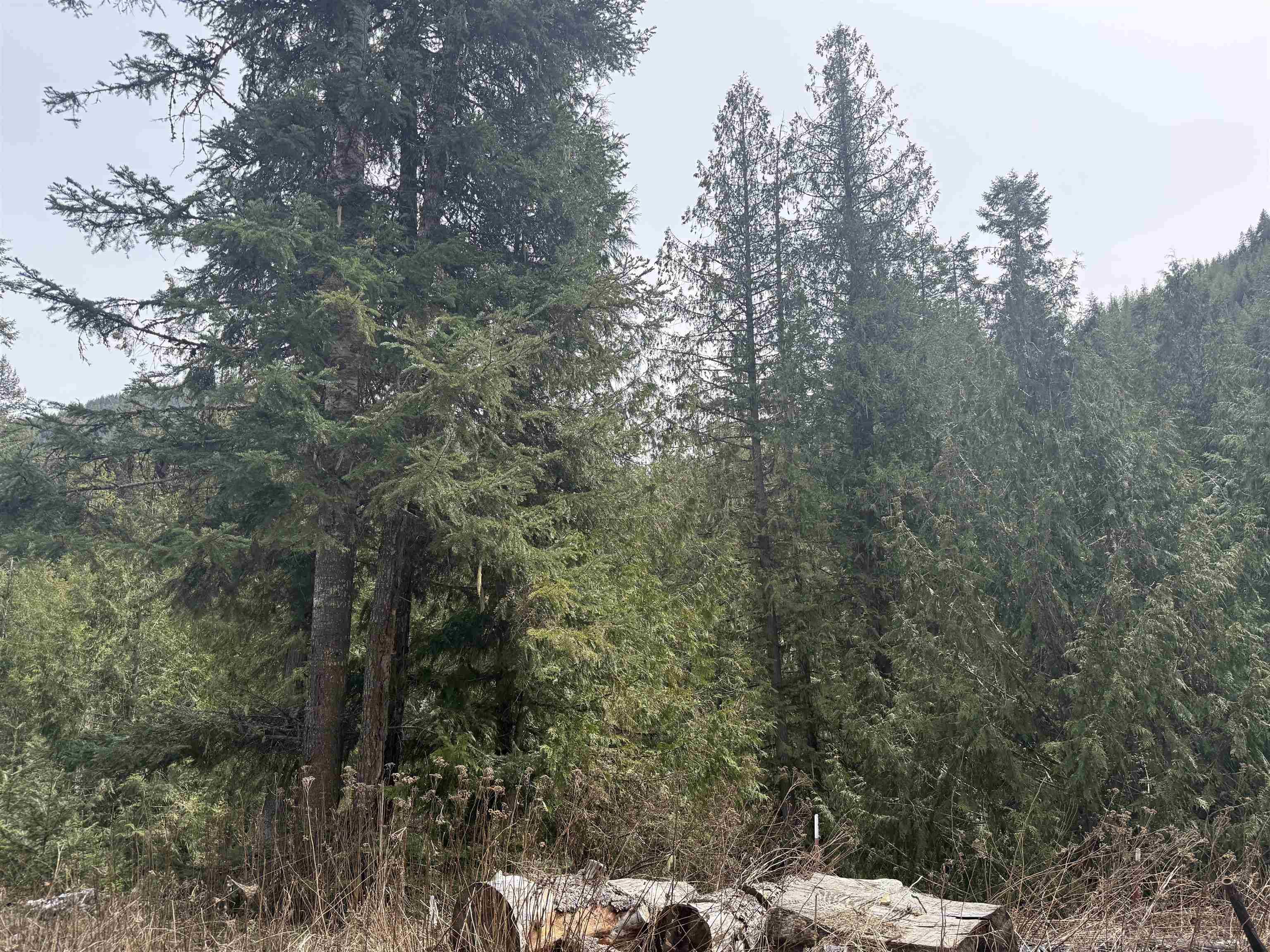 4851 Best Chance Rd, Usk, WA 99180