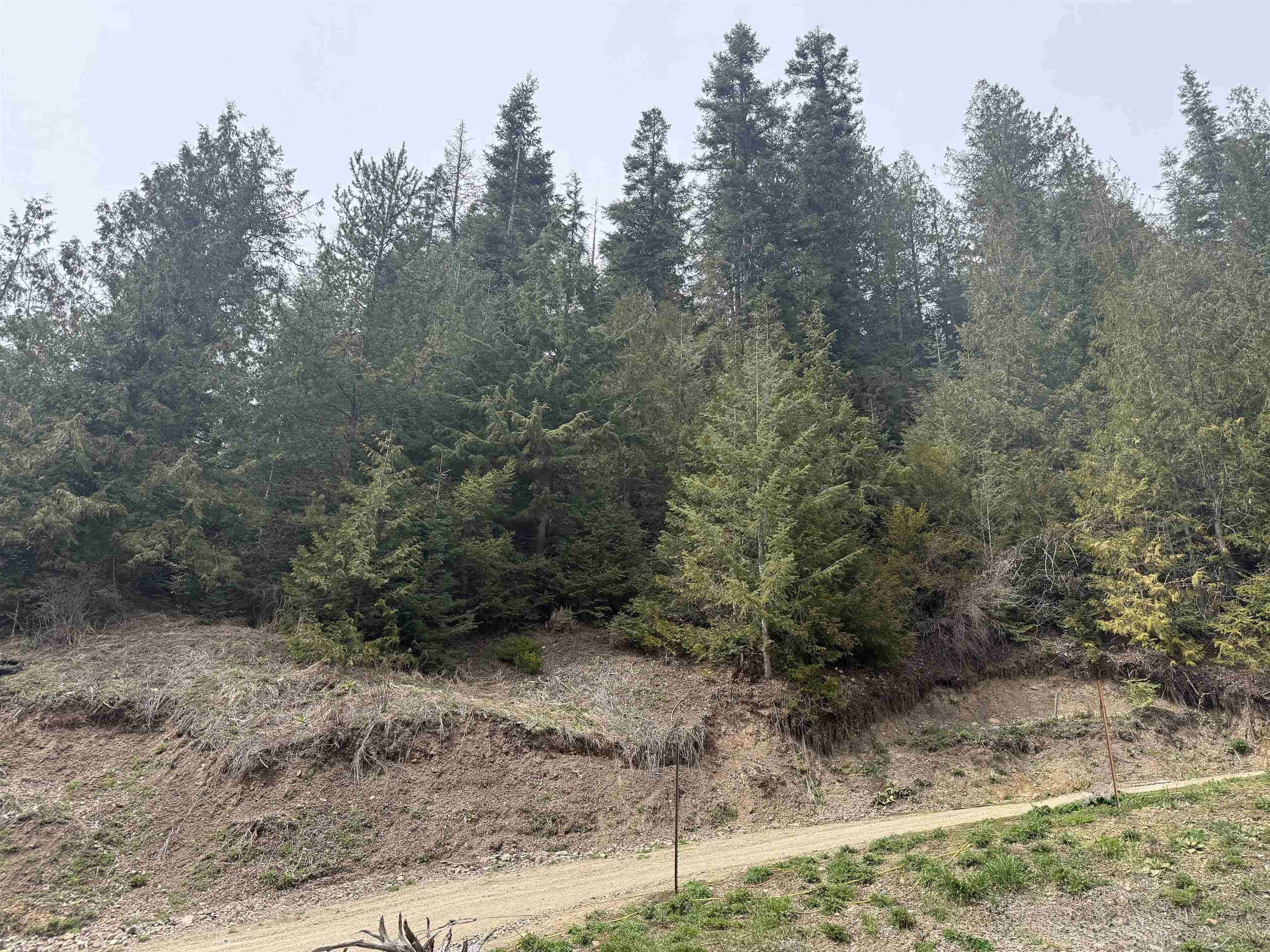 4851 Best Chance Rd, Usk, WA 99180