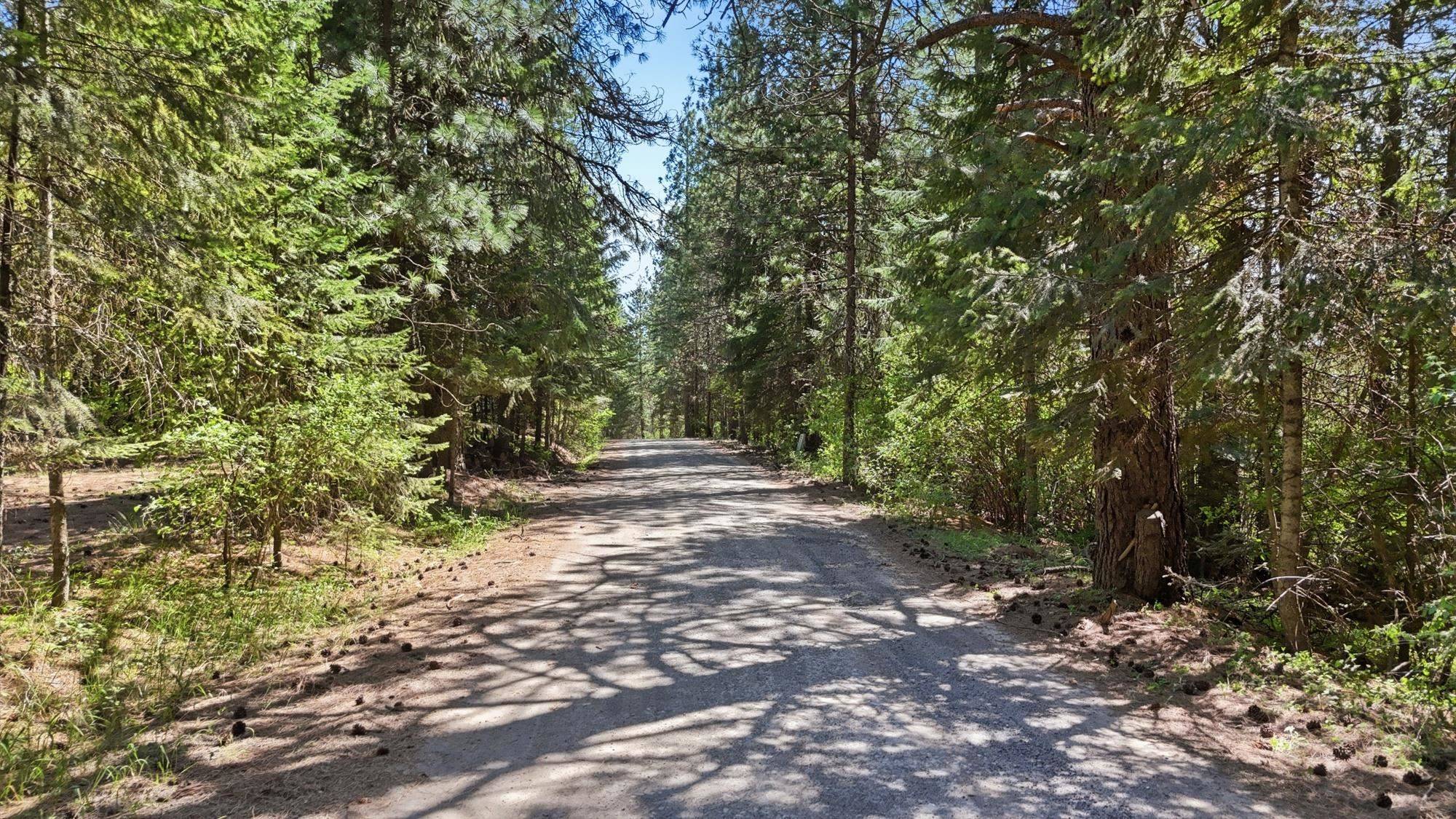 12703 S Alpine Fern Rd, Rockford, WA 99030