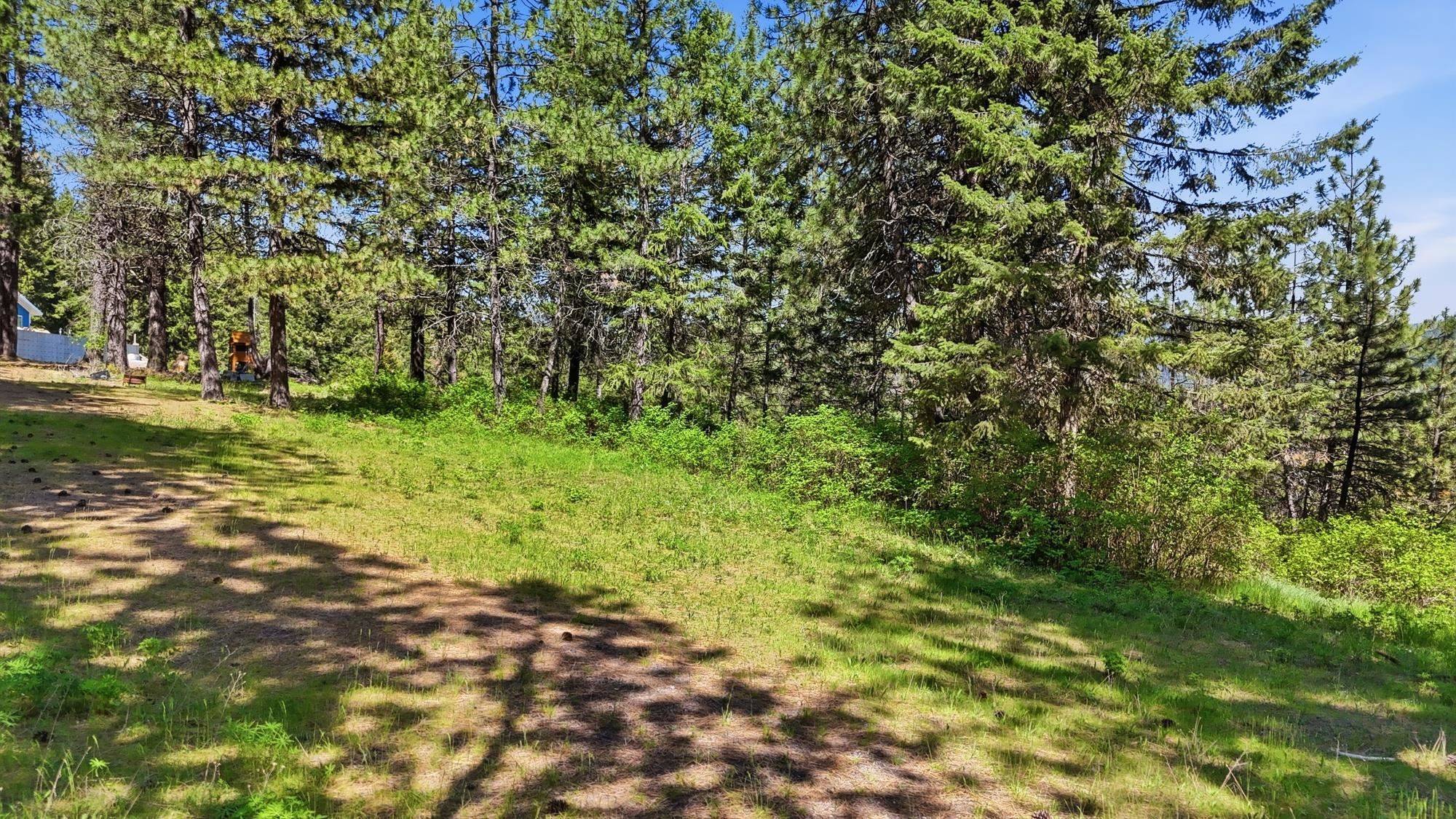 12703 S Alpine Fern Rd, Rockford, WA 99030