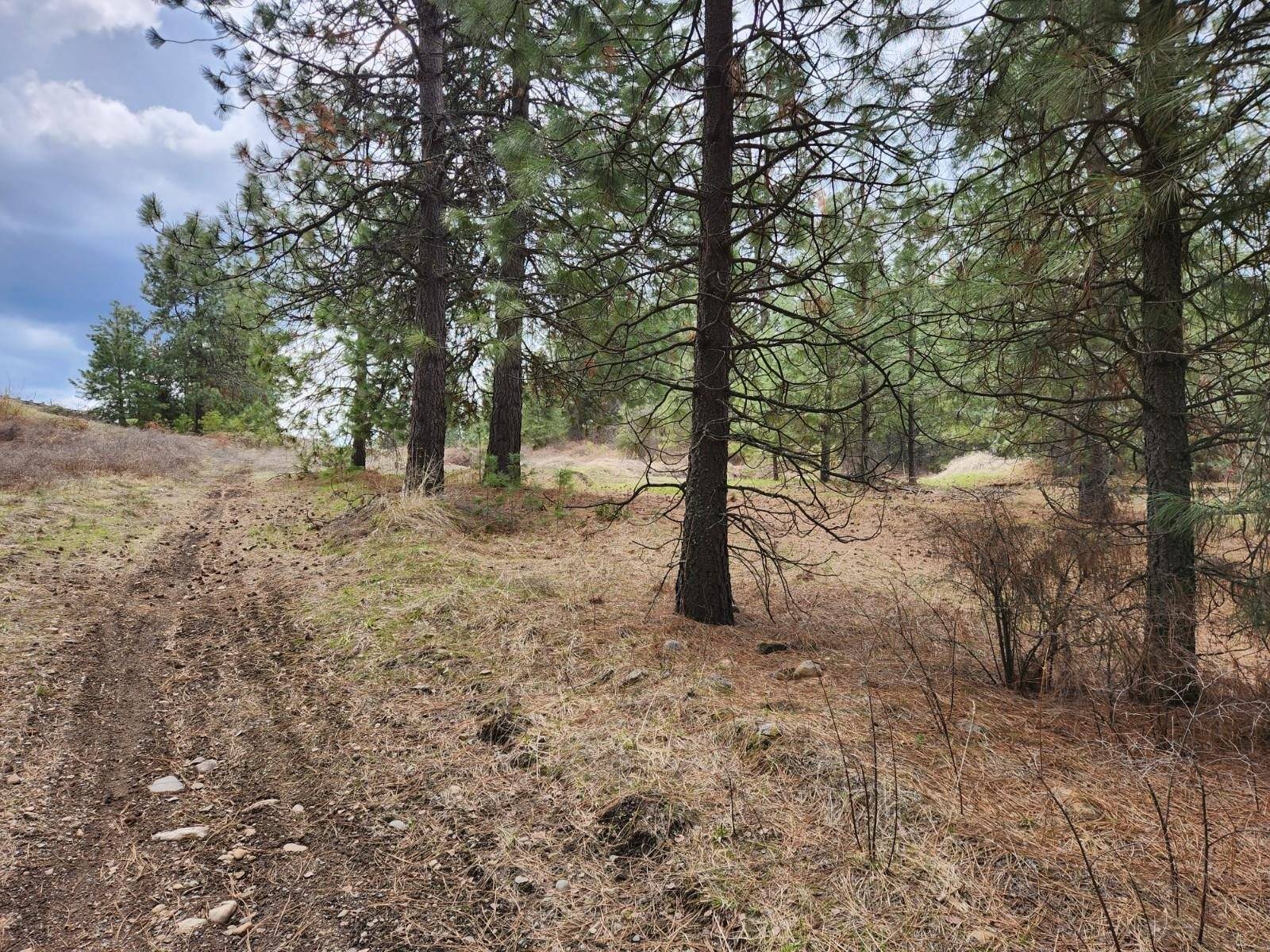 29xx Bakie Rd, Valley, WA 99181