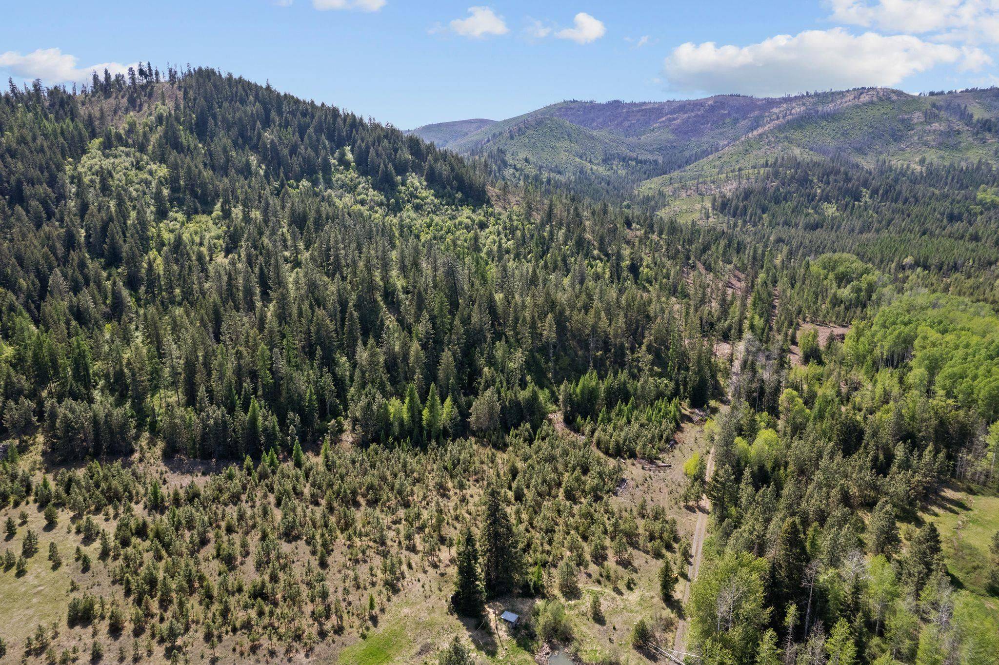 4941 Redman Lots A, B, C Rd, Clayton, WA 99110