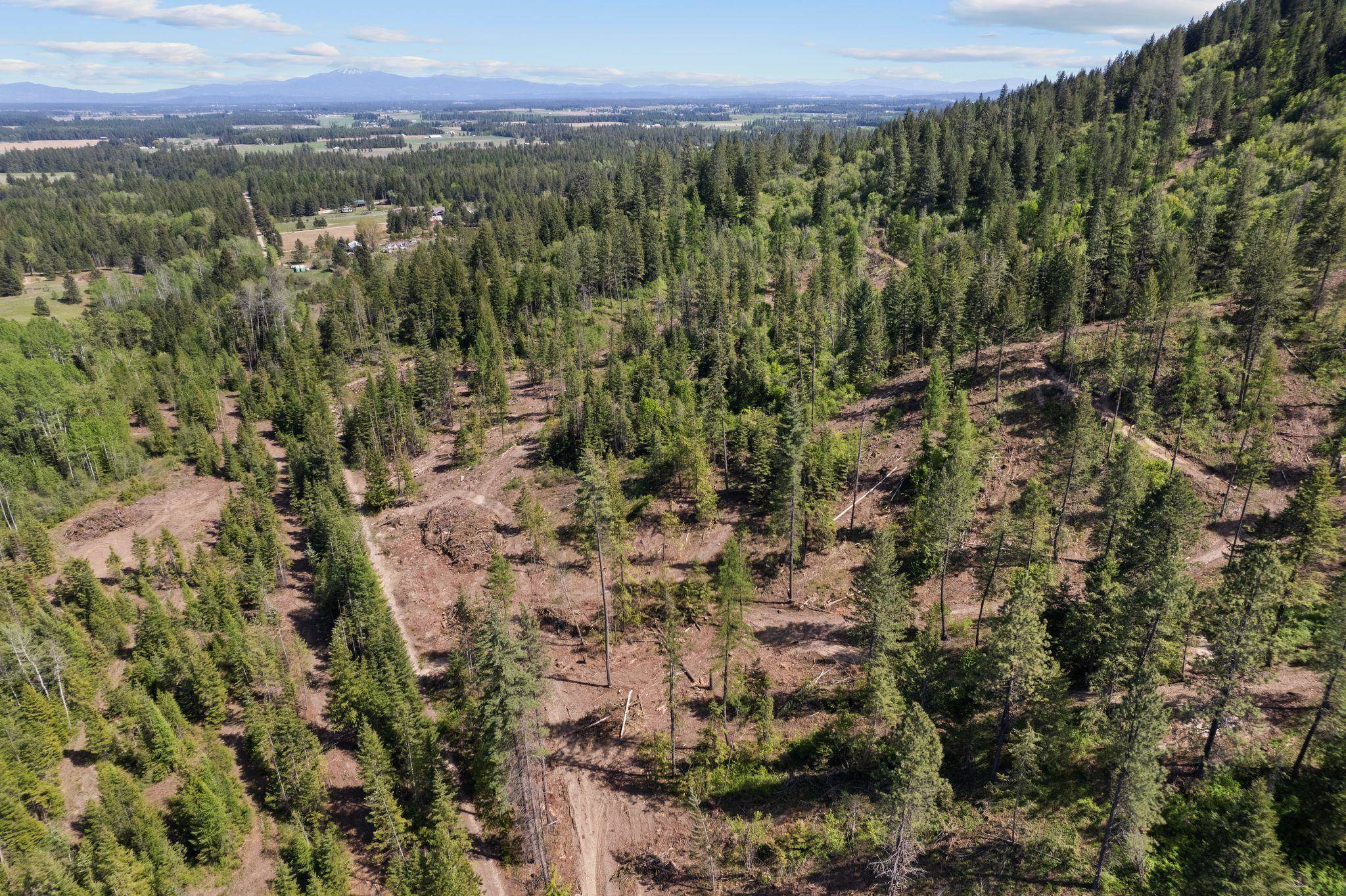 4941 Redman Lot A Rd, Clayton, WA 99110