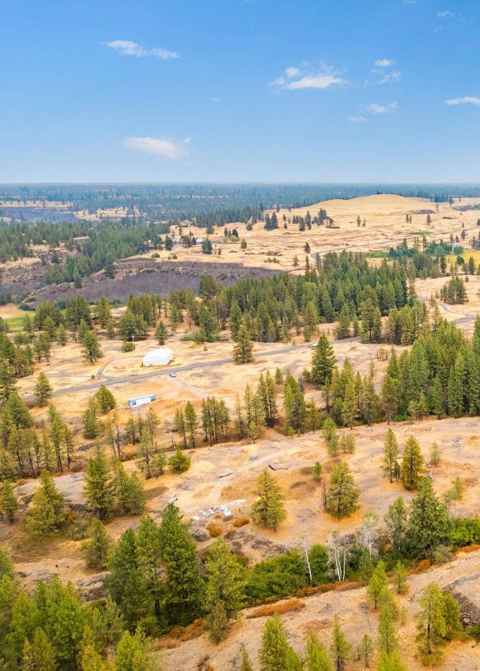 17700Blk W Williams Lake Rd, Cheney, WA 99004
