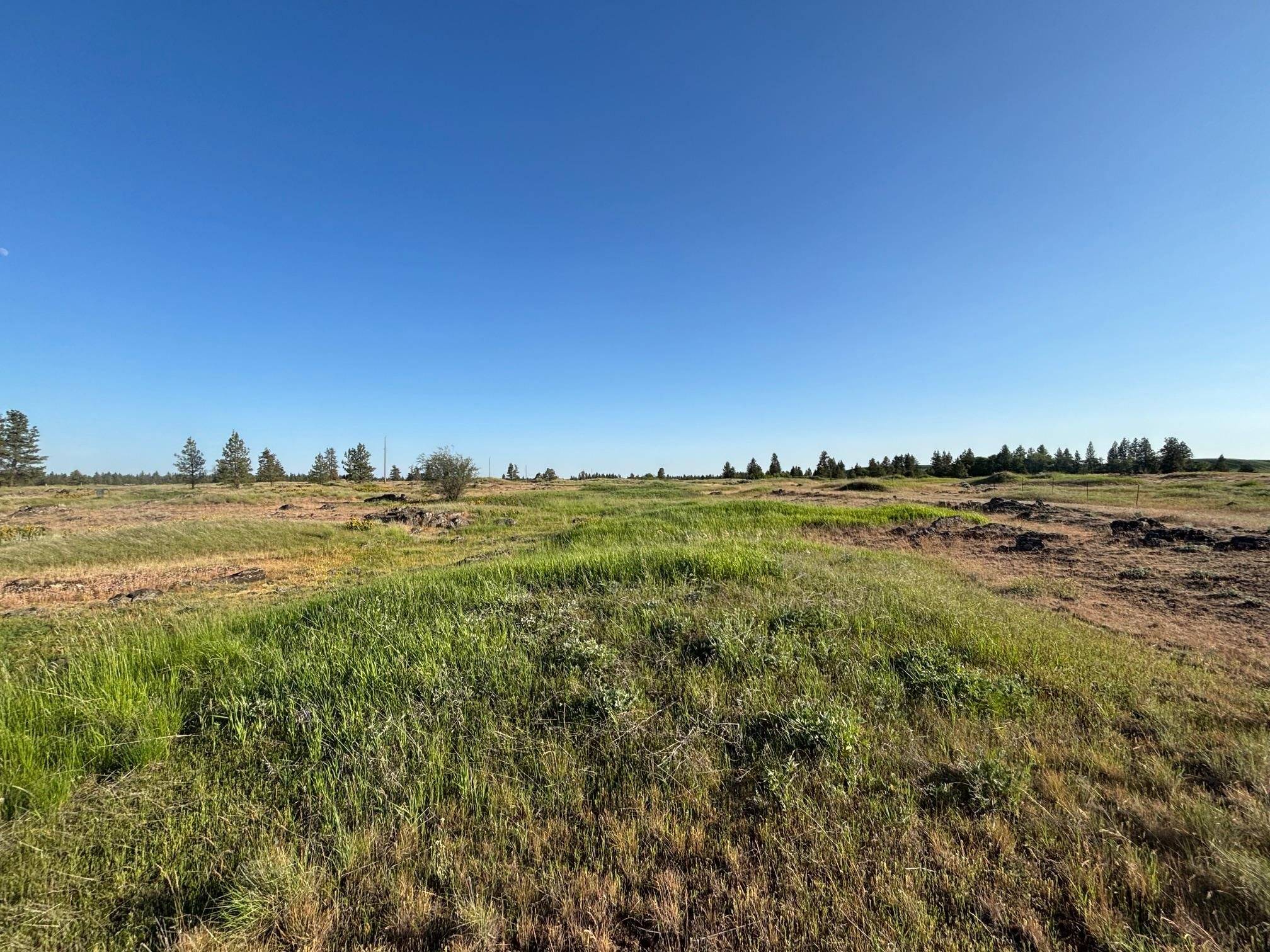 19456 S Harrison Rd, Edwall, WA 99008