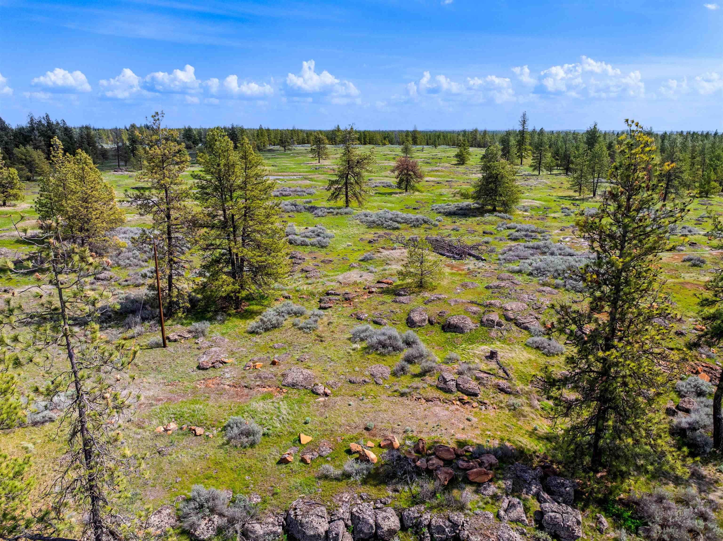 21XXX S Harrison Lots 1 & 2 Rd, Cheney, WA 99008