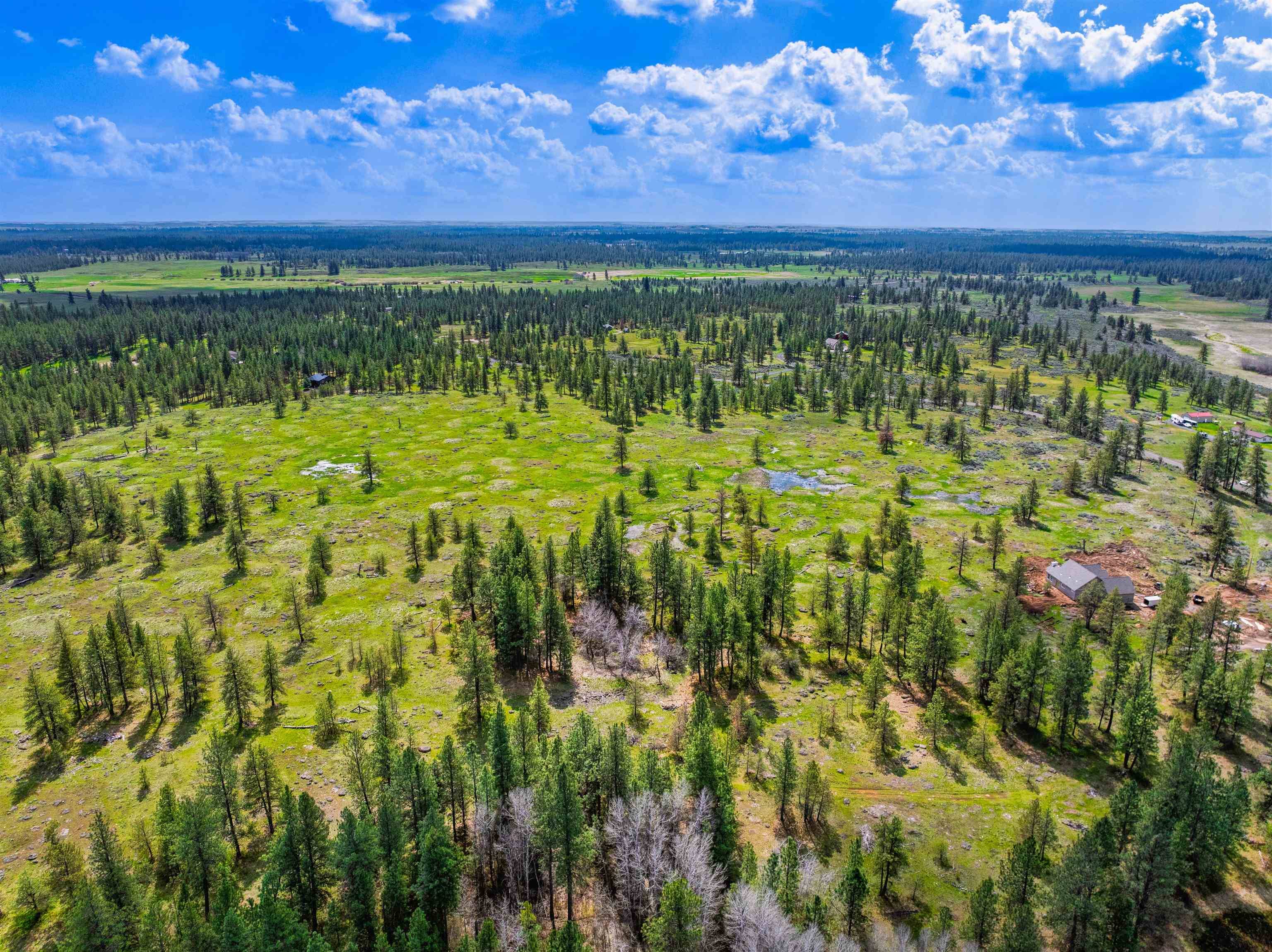 21XXX S Harrison Lot 1 Rd, Cheney, WA 99008