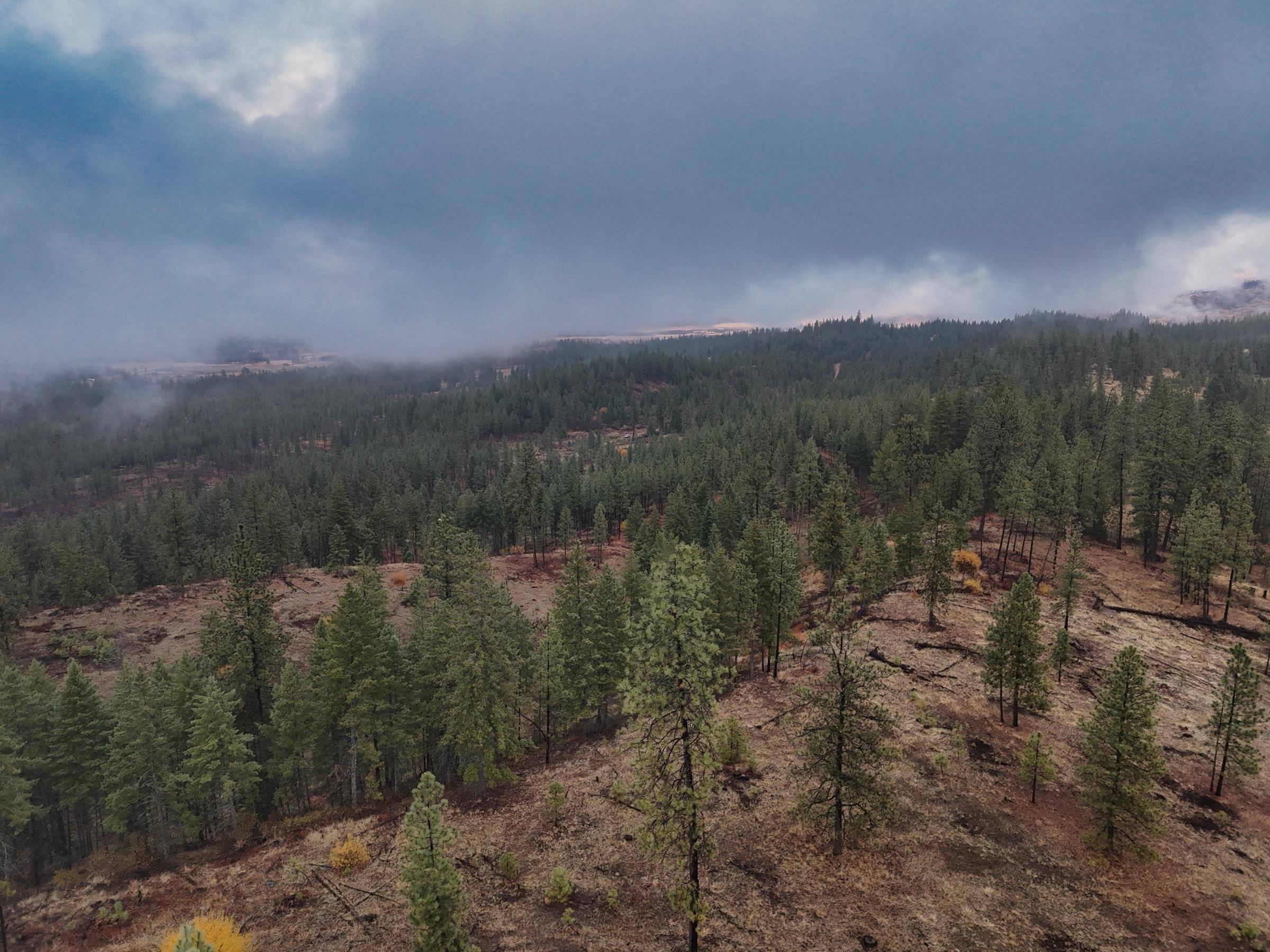 5xxx HWY 231 Hwy, Ford, WA 99013