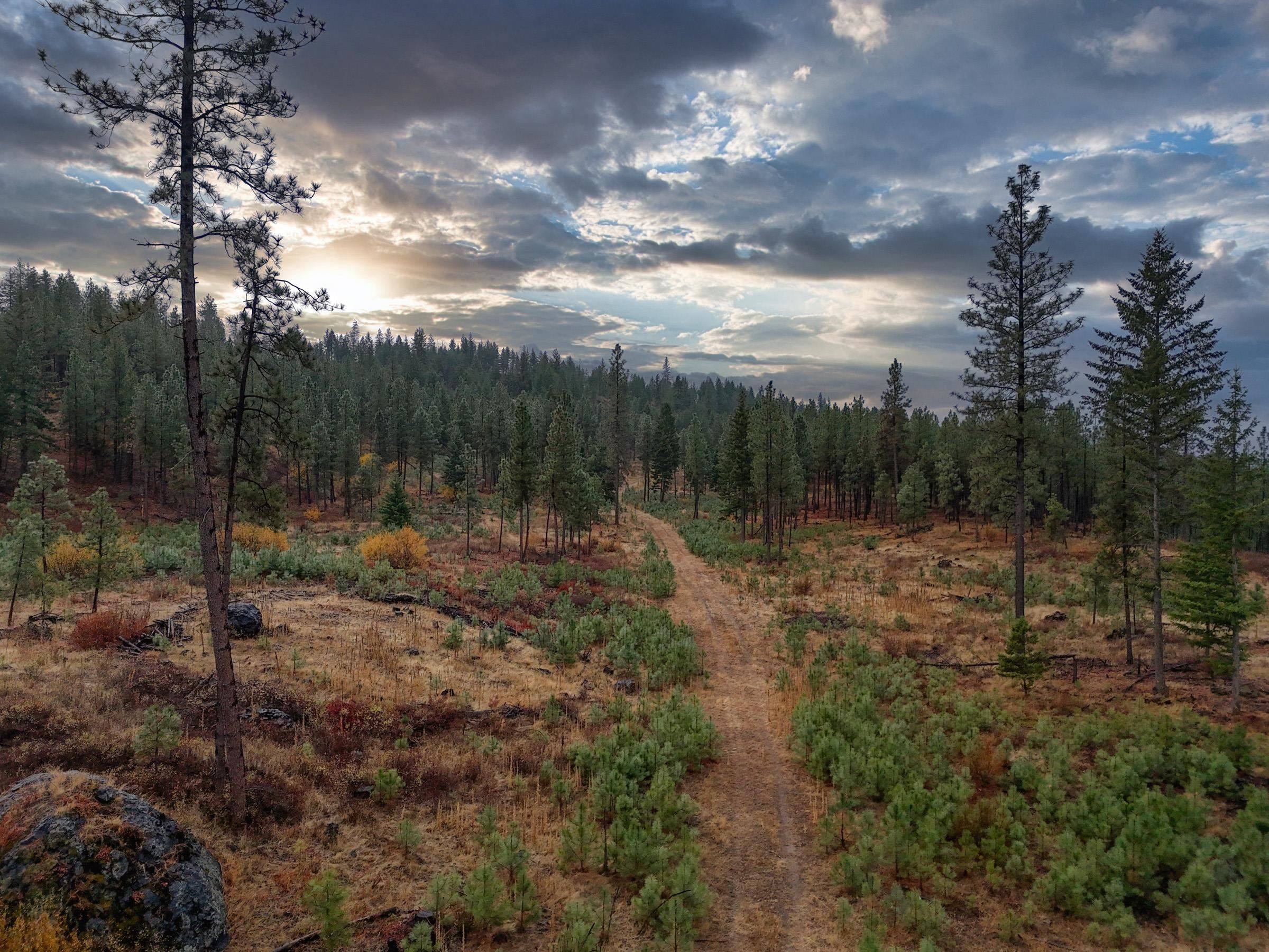 5xxx HWY 231 Hwy, Ford, WA 99013