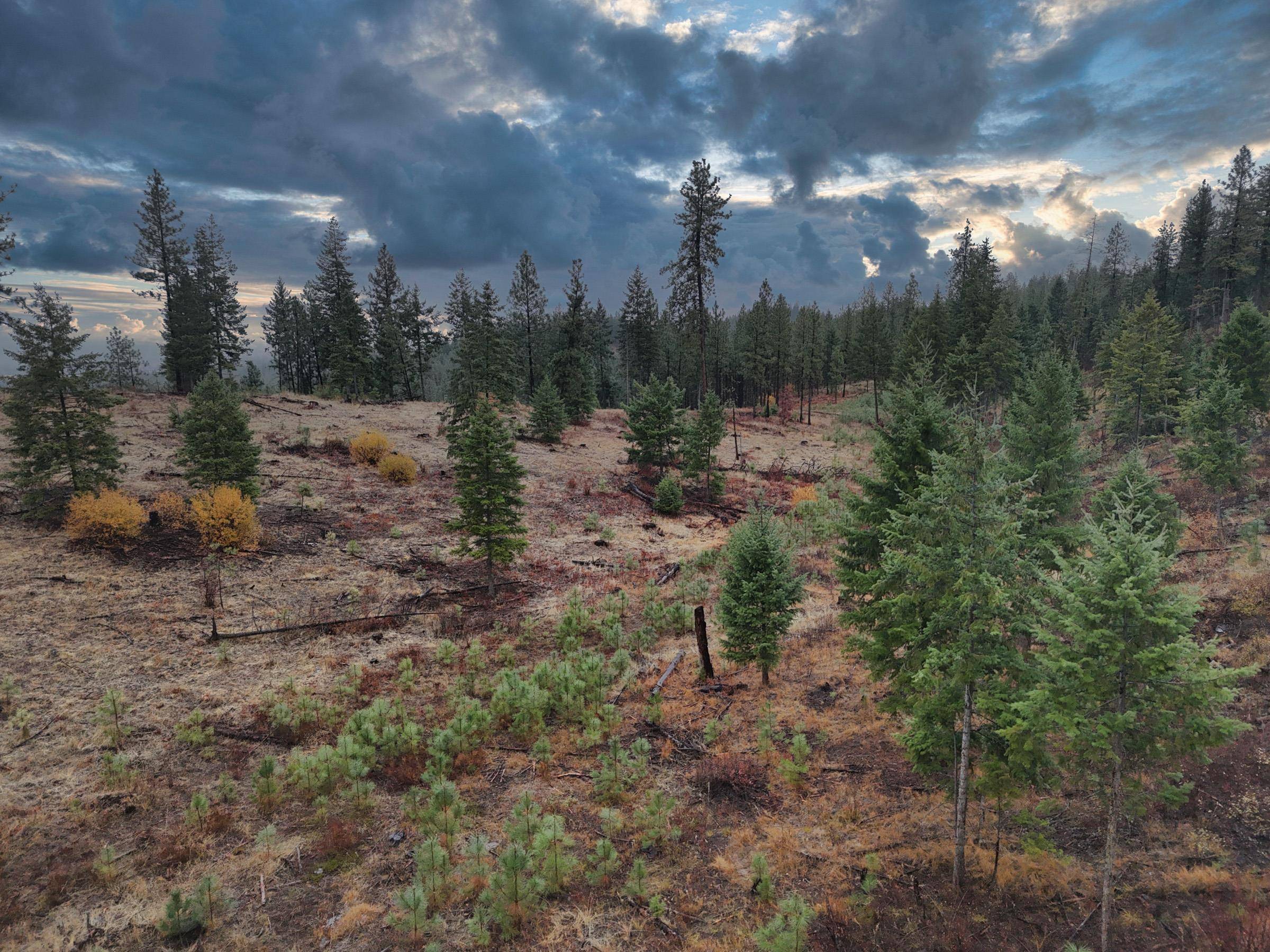 5xxx HWY 231 Hwy, Ford, WA 99013