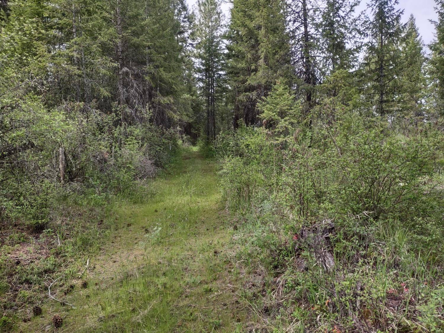 X E Jump Off Rd #Lot 1, 61.45 acres, Valley, WA 99181