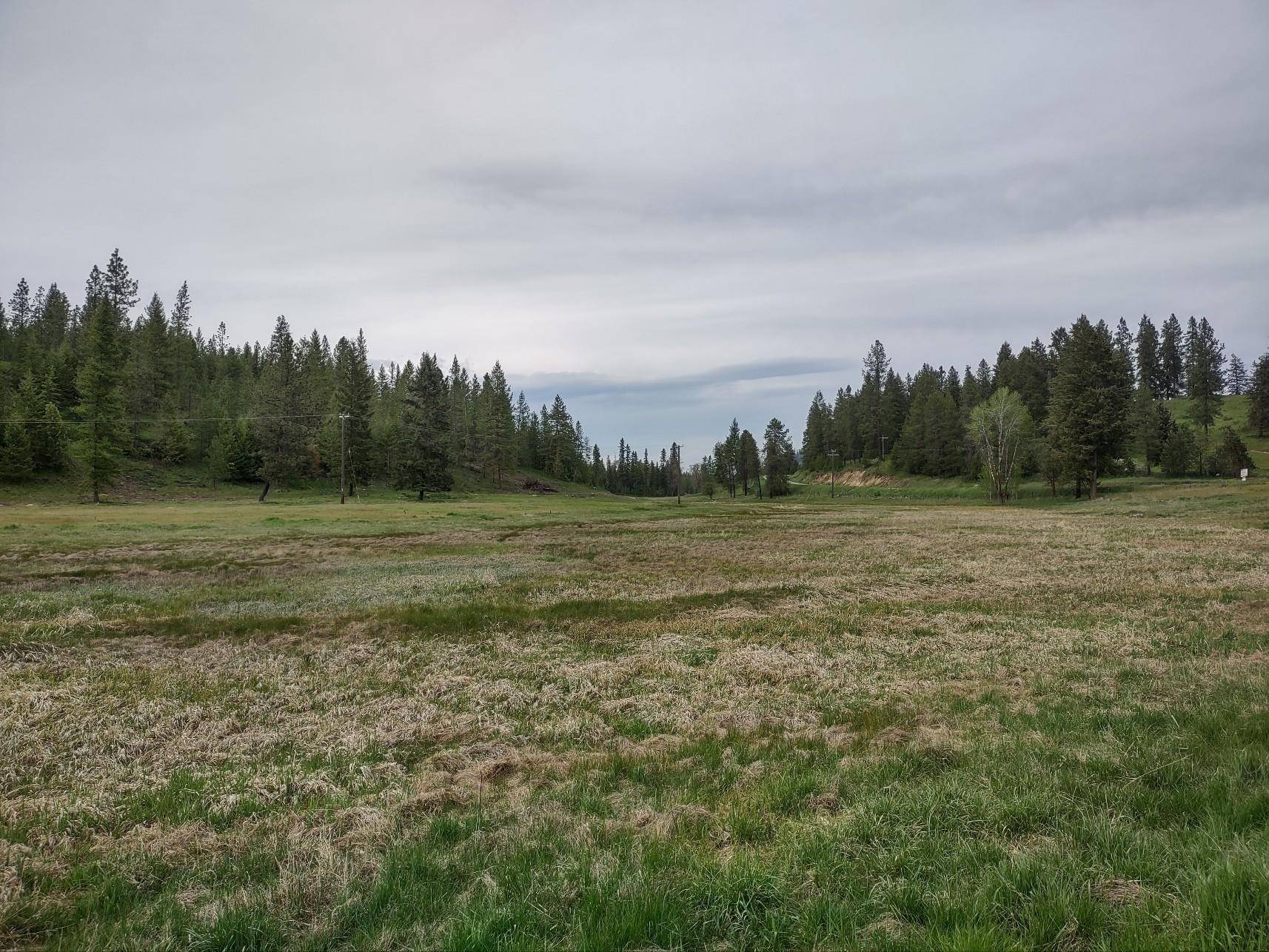 X E Jump Off Rd #Lot 1, 61.45 acres, Valley, WA 99181