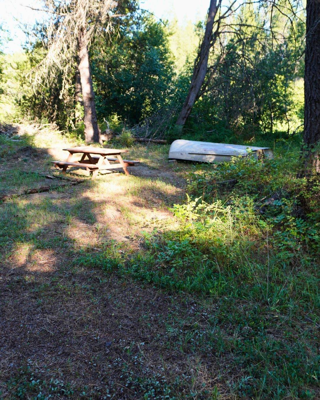 NKA Pines Rd, Newport, WA 99156