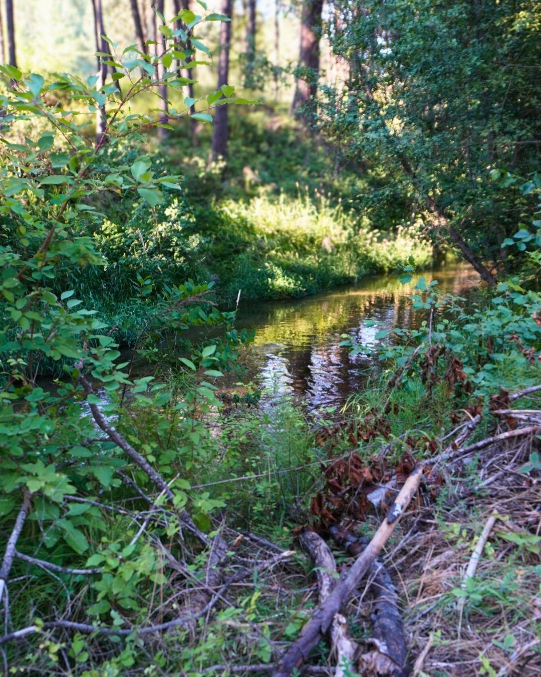 NKA Pines Rd, Newport, WA 99156