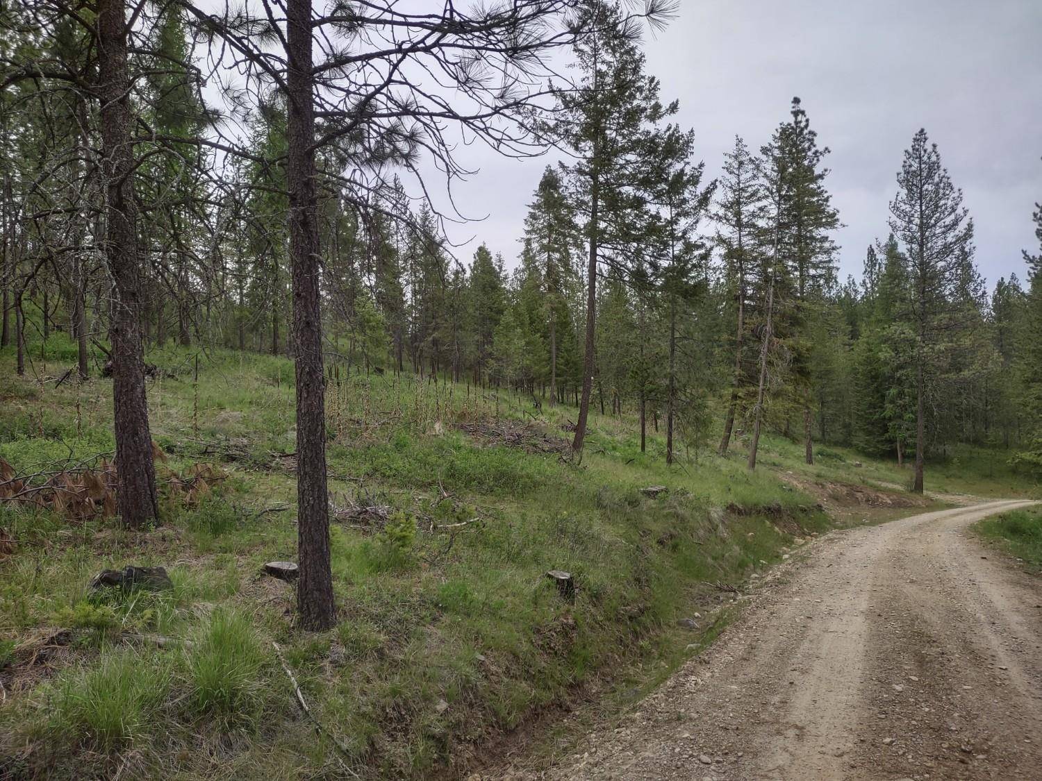XXX E Jump Off Rd #125 acres, Valley, WA 99181