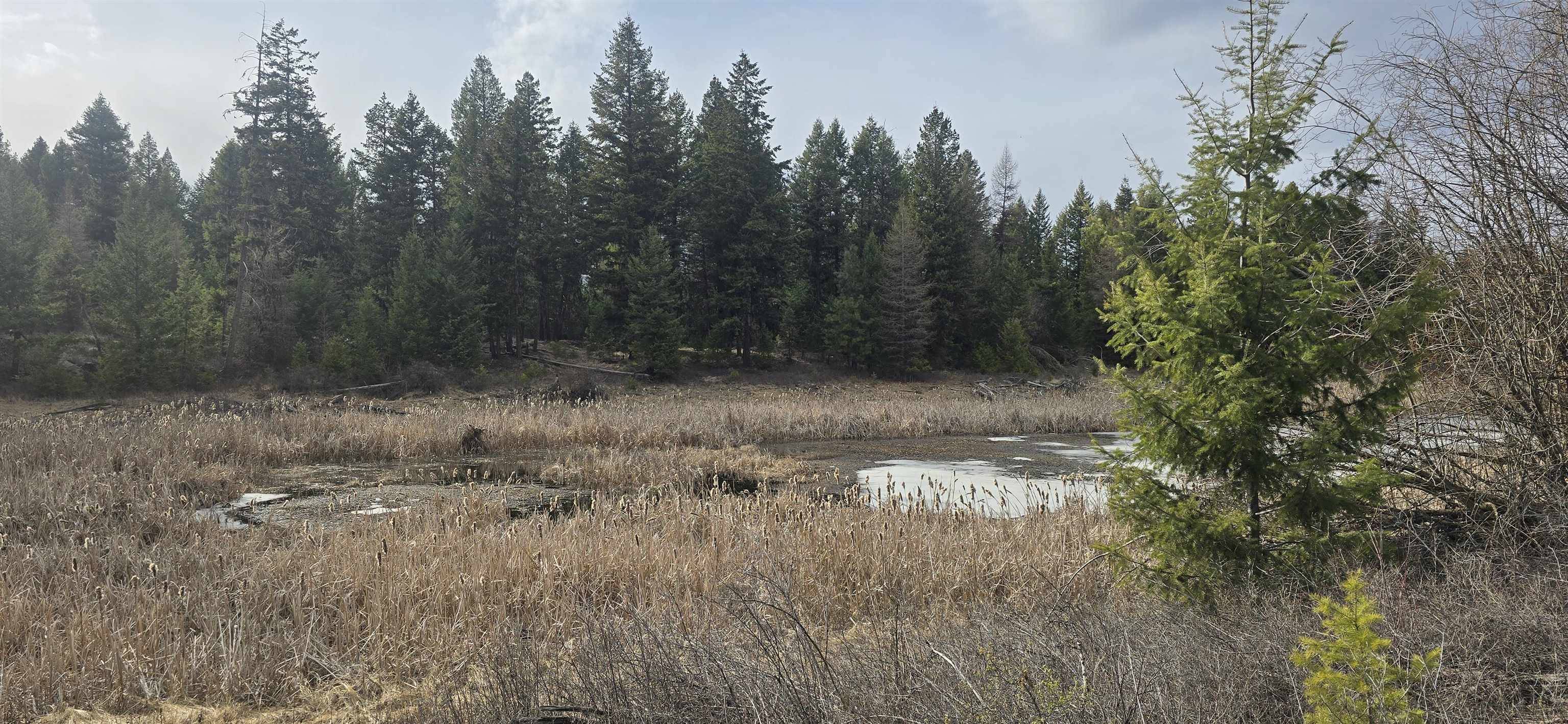 99 Prior Loop Rd, Other, WA 98844