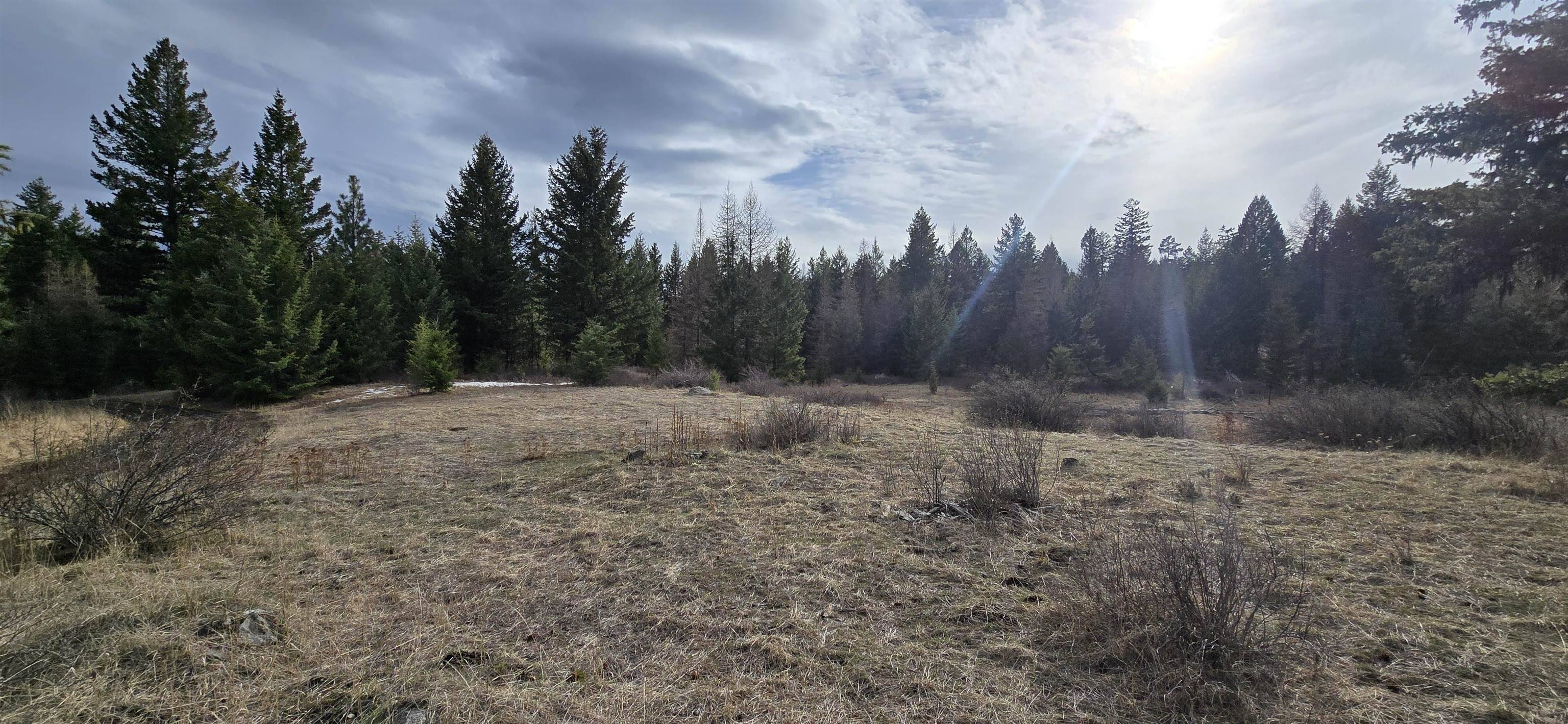 99 Prior Loop Rd, Other, WA 98844