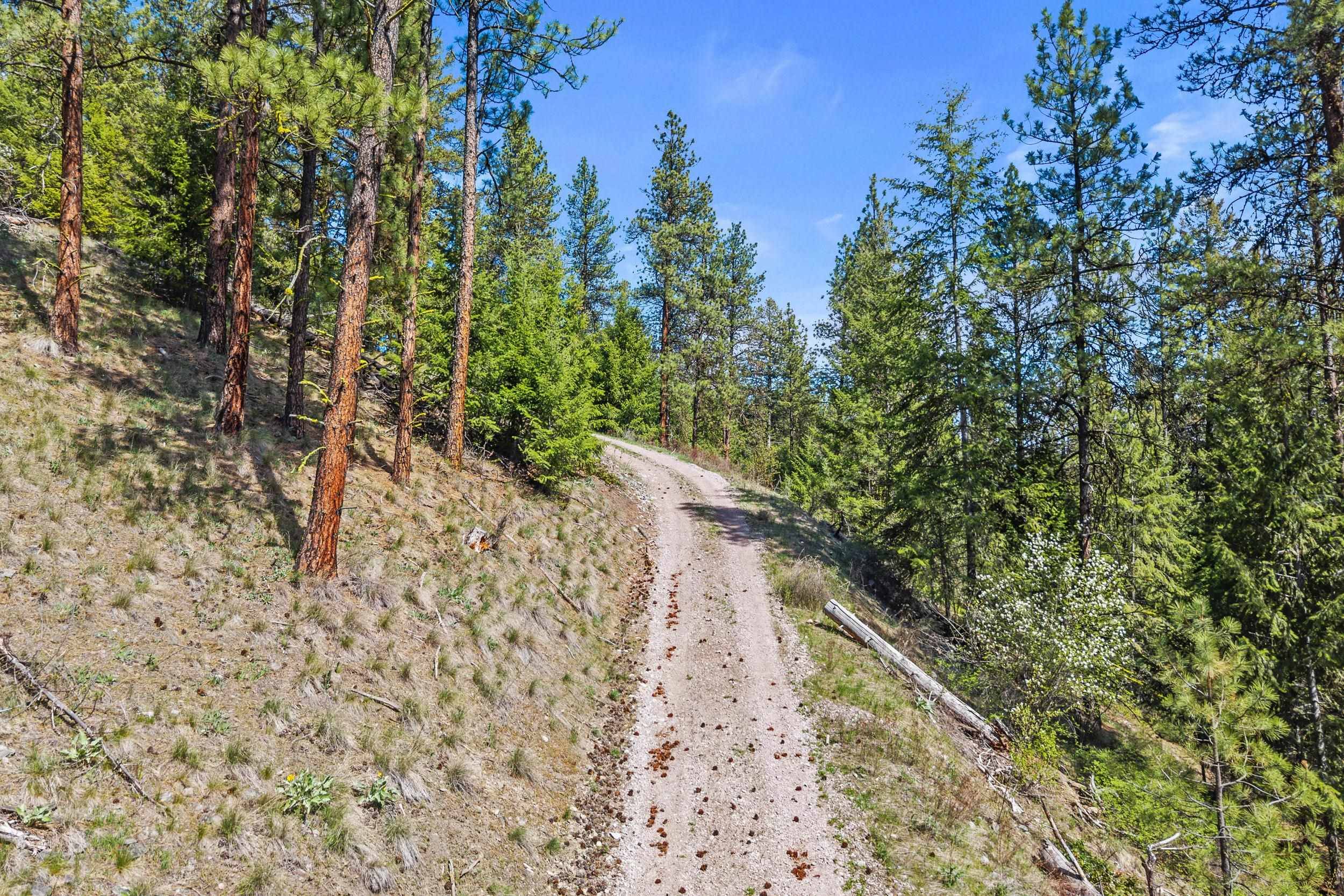 TBD Klondike Rd #Lot 323, 325 & 326, Republic, WA 99141