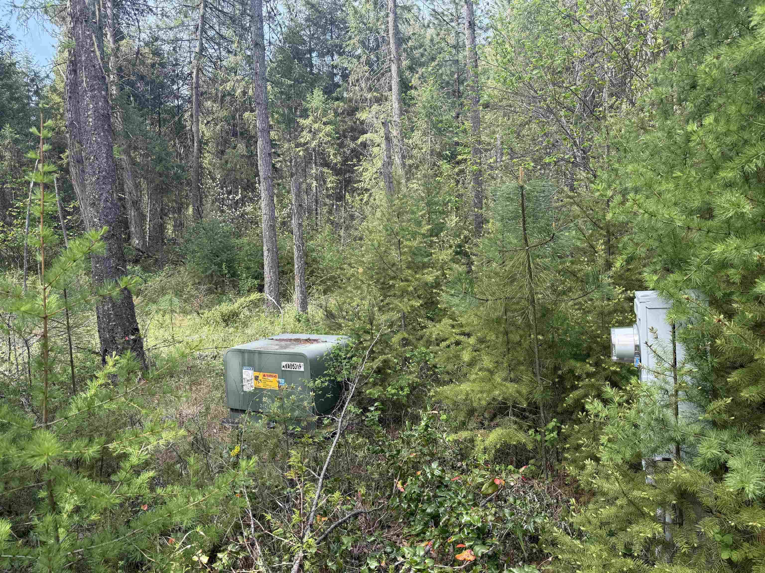 67 First Thought LOOP, Other, WA 99146