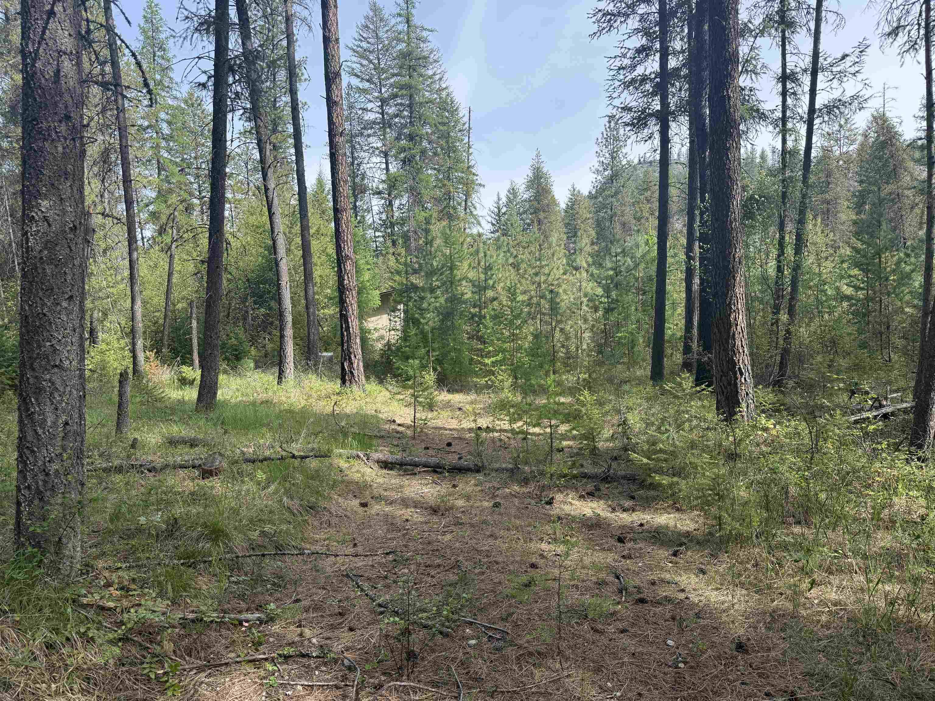 67 First Thought LOOP, Other, WA 99146