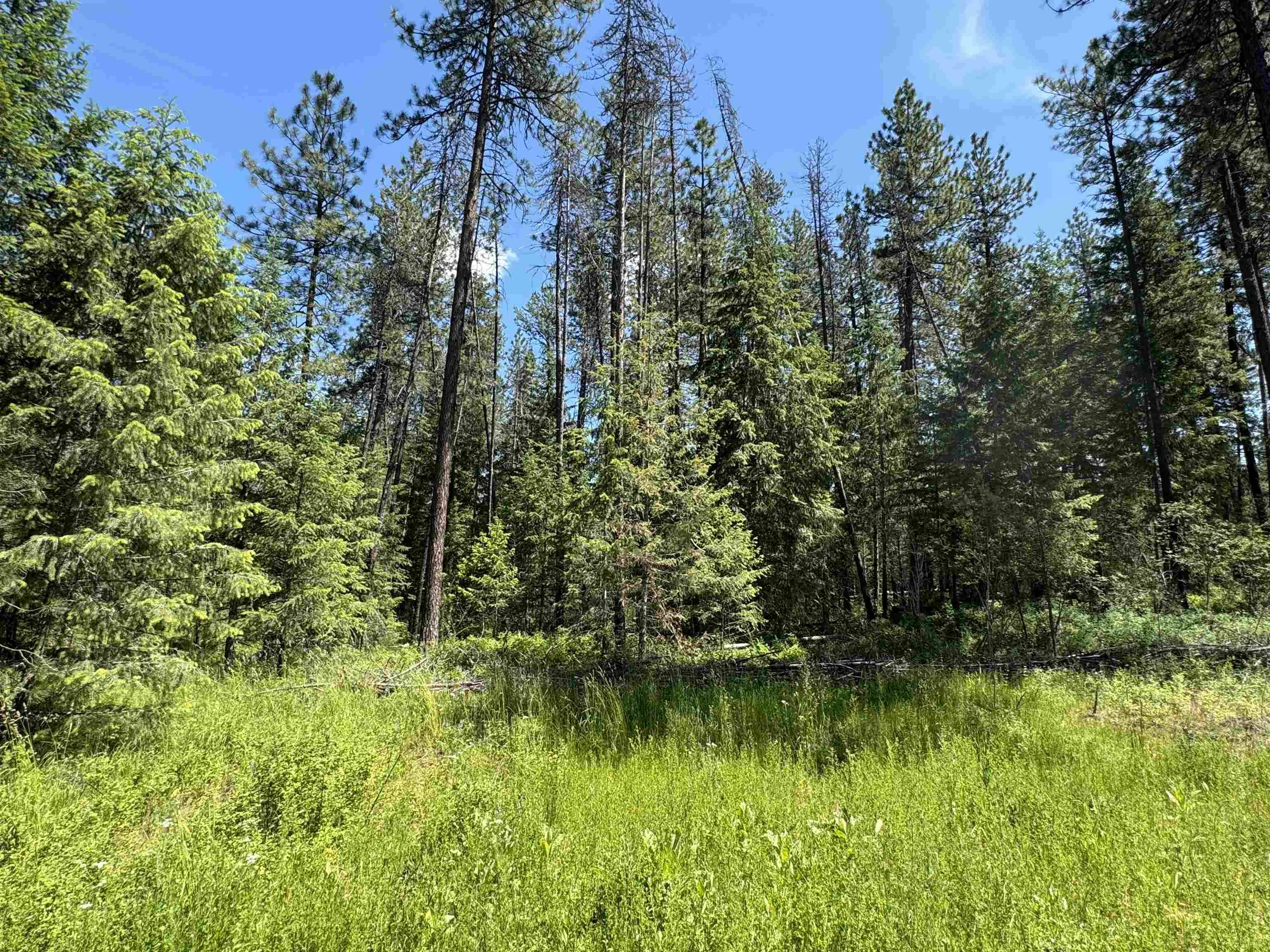 610 N A St #Lot #2, Springdale, WA 99173