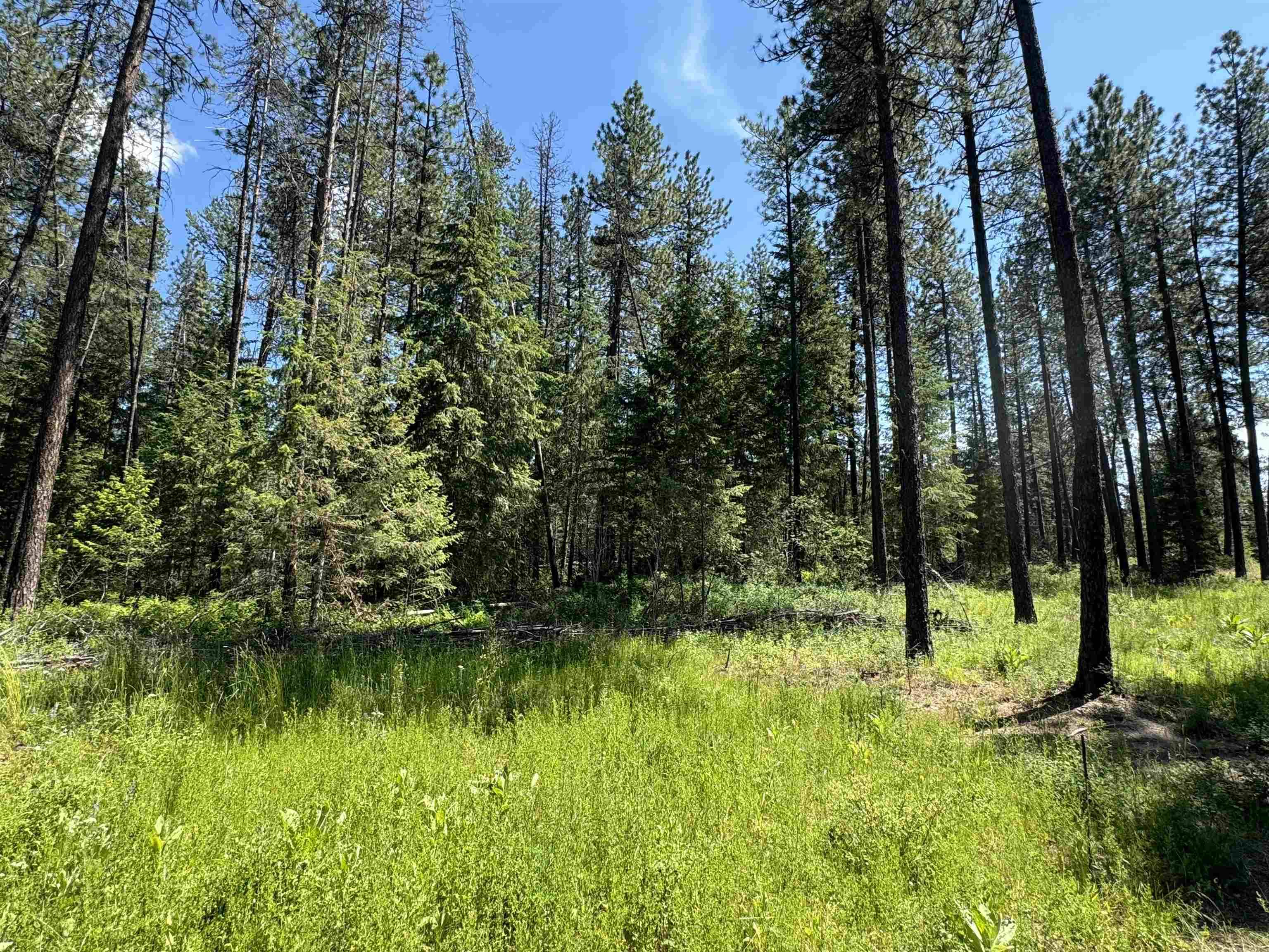 610 N A St #Lot #2, Springdale, WA 99173
