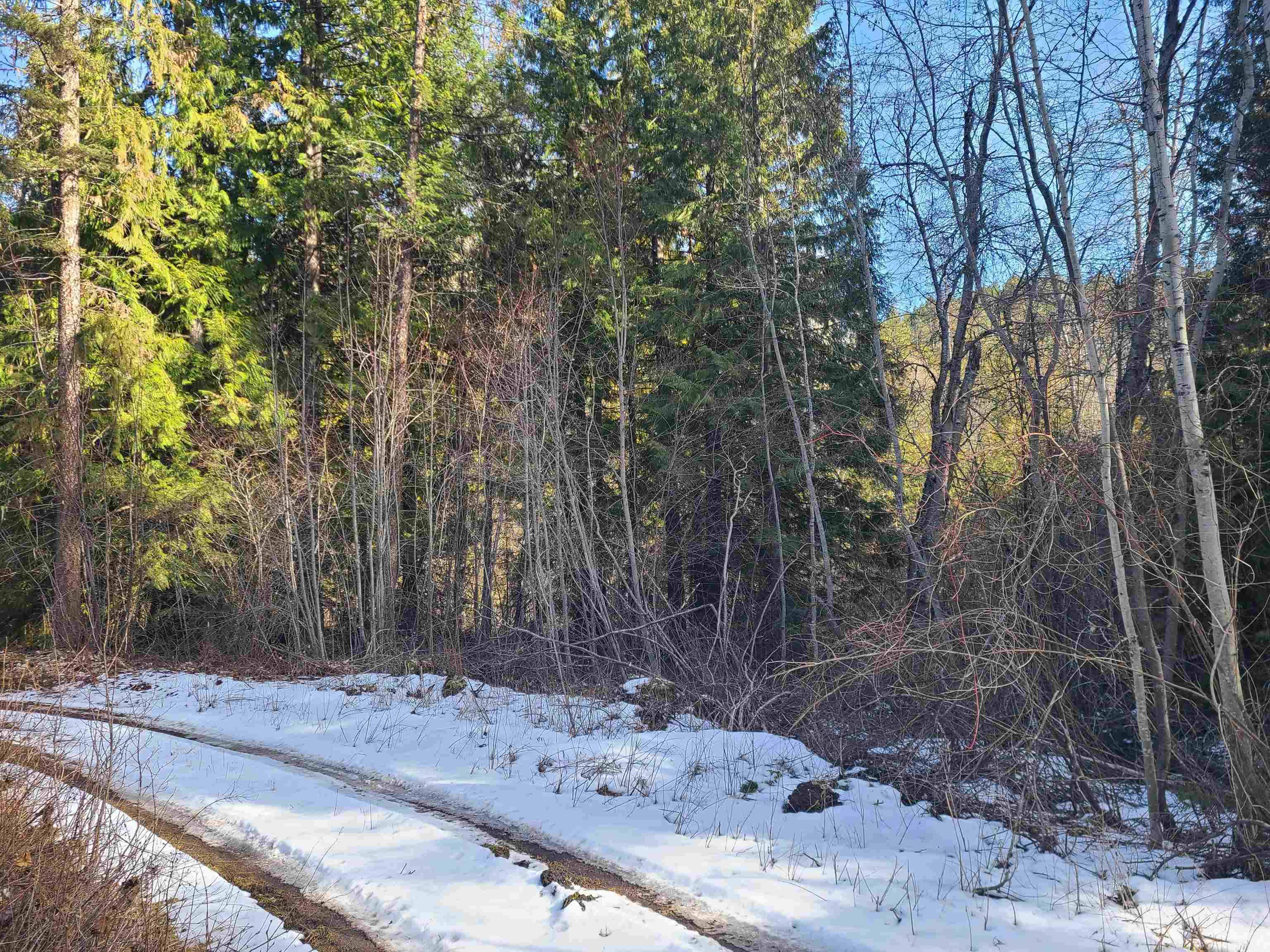2584-F Bridgeman Rettinger Rd, Kettle Falls, WA 99141