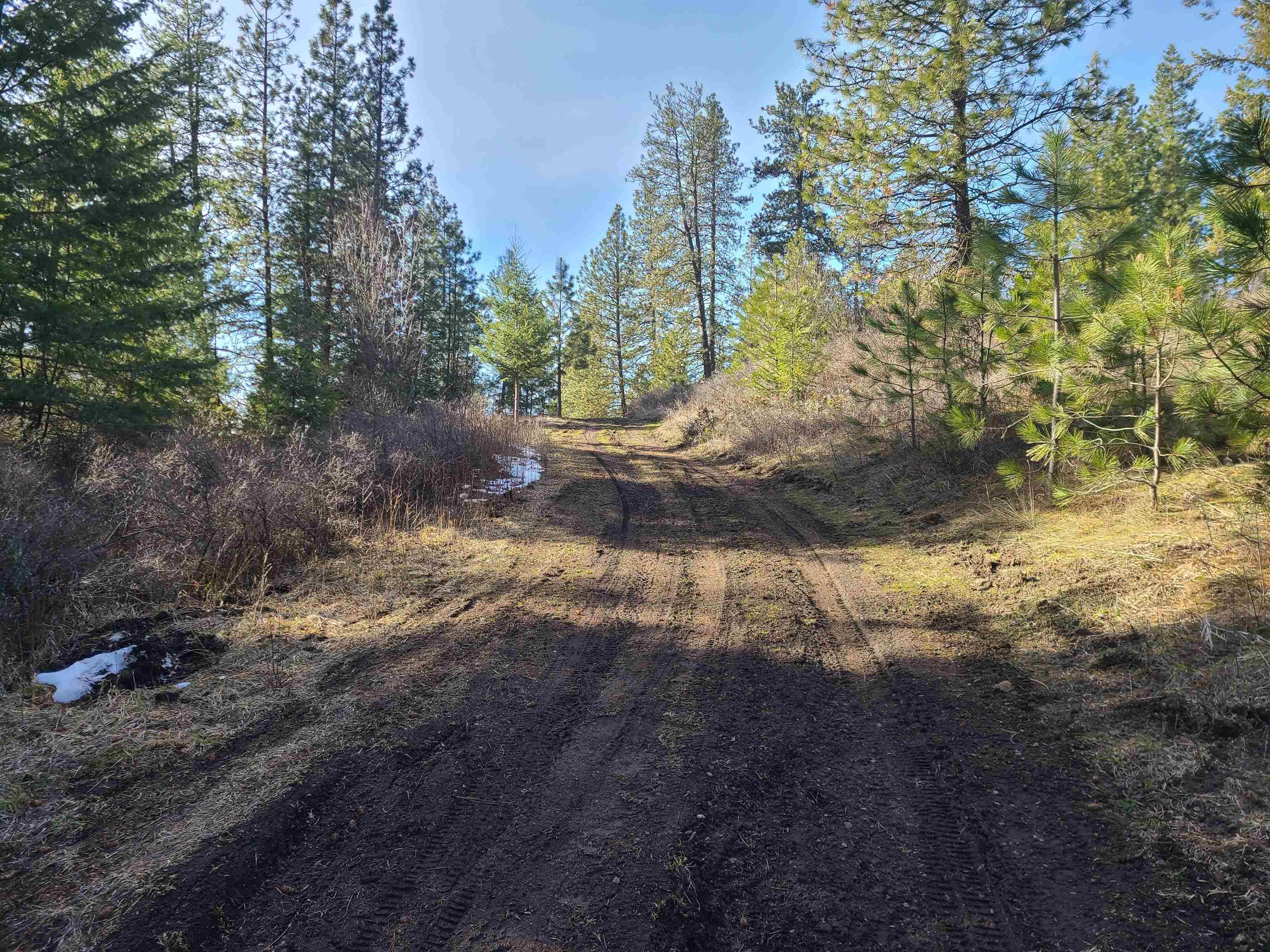 2584-F Bridgeman Rettinger Rd, Kettle Falls, WA 99141