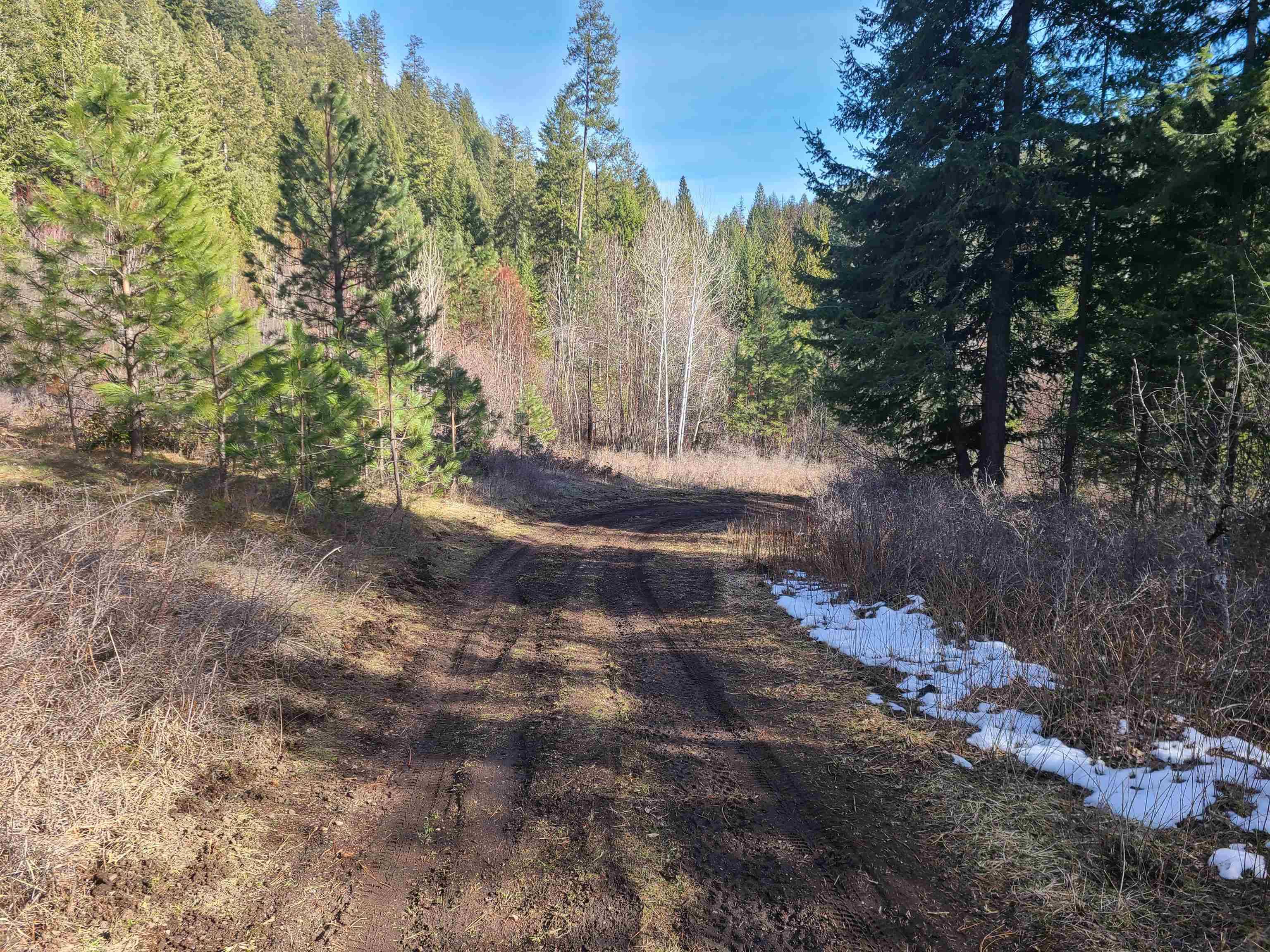 2584-F Bridgeman Rettinger Rd, Kettle Falls, WA 99141
