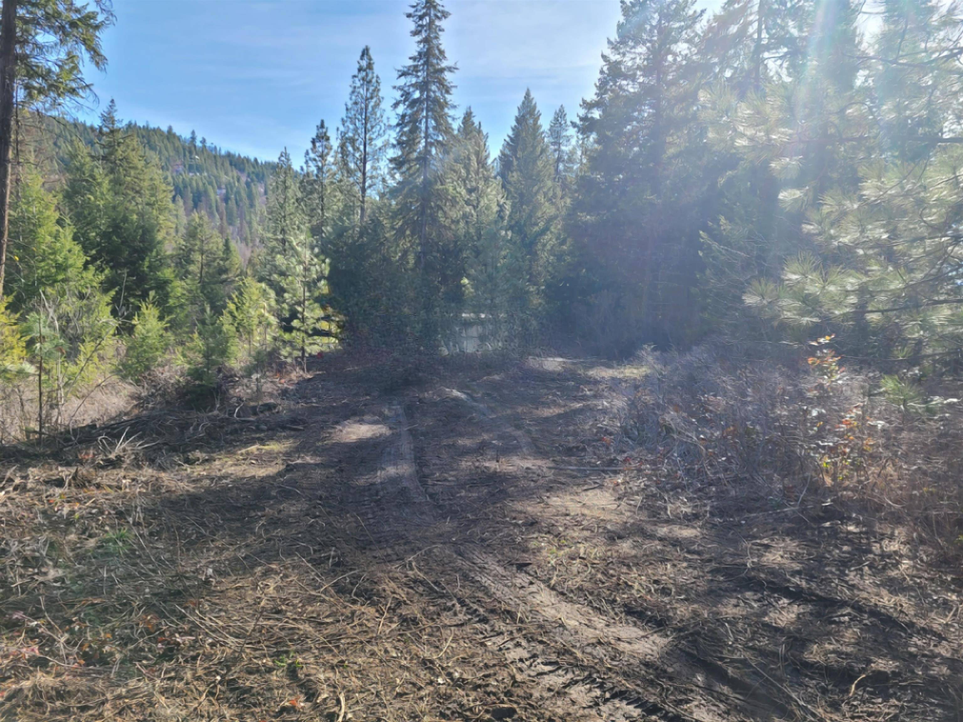 2584-F Bridgeman Rettinger Rd, Kettle Falls, WA 99141