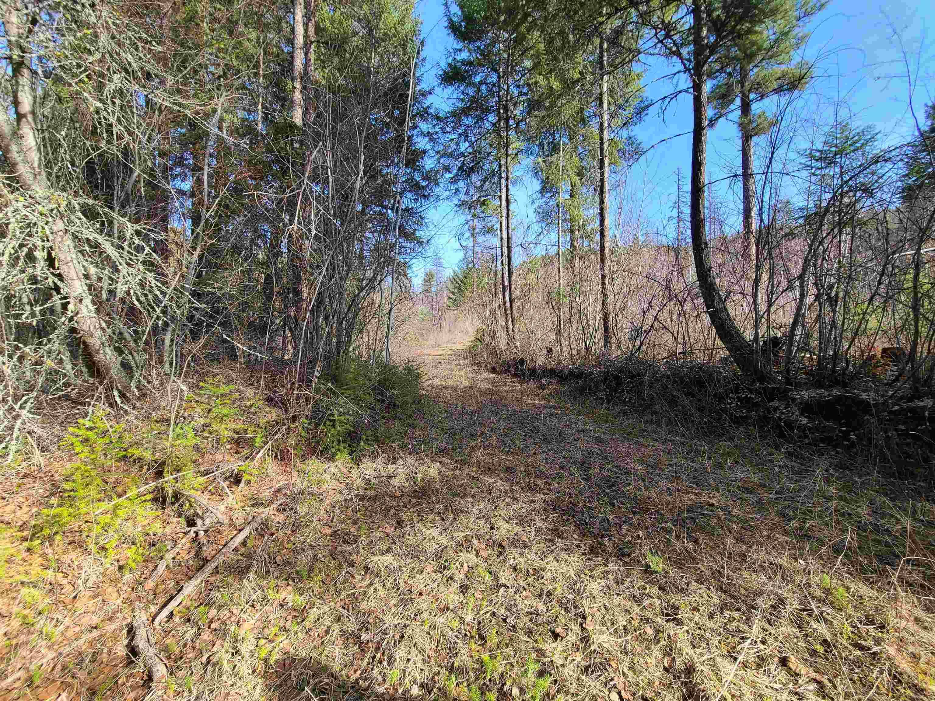 2584-F Bridgeman Rettinger Rd, Kettle Falls, WA 99141