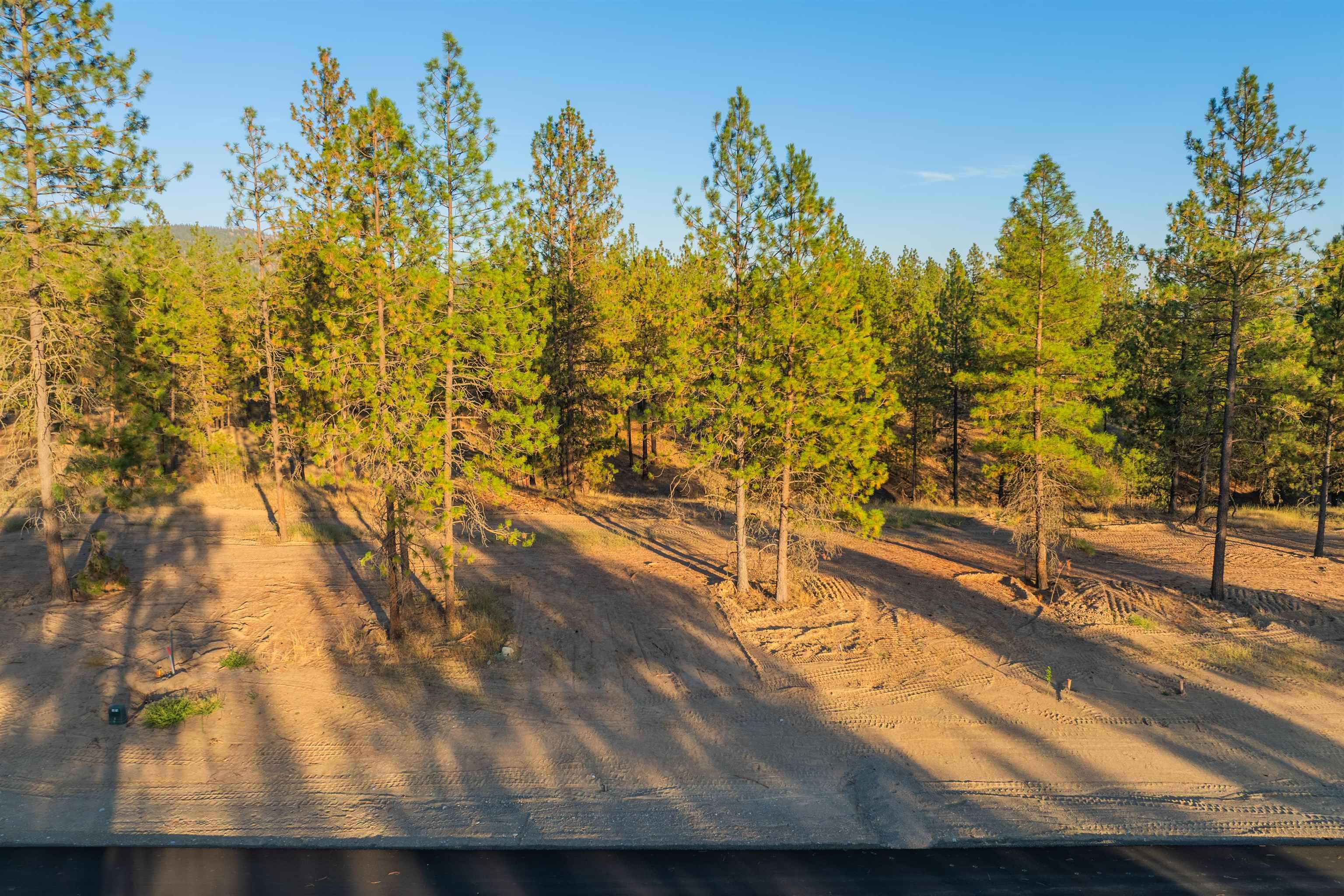 Lot 28 Legacy WAY, Nine Mile Falls, WA 99026
