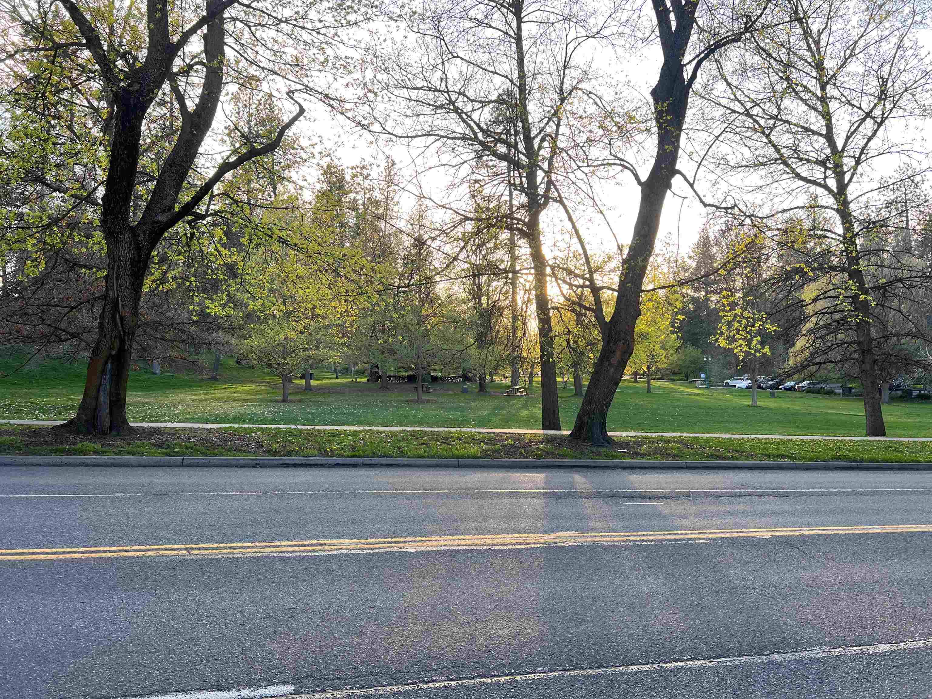 1823 S Grand Blvd, Spokane, WA 99203