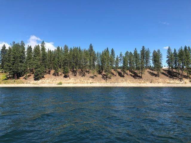 20XX Ray Anderson Rd, Kettle Falls, WA 99141