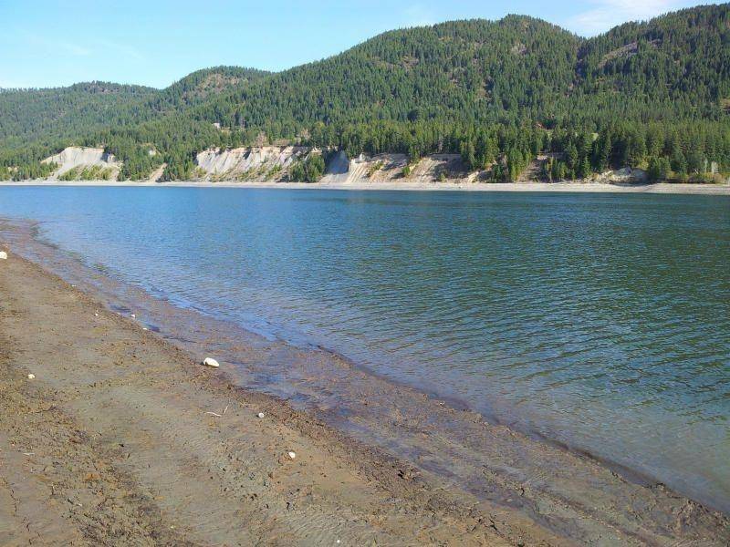 20XX Ray Anderson Rd, Kettle Falls, WA 99141