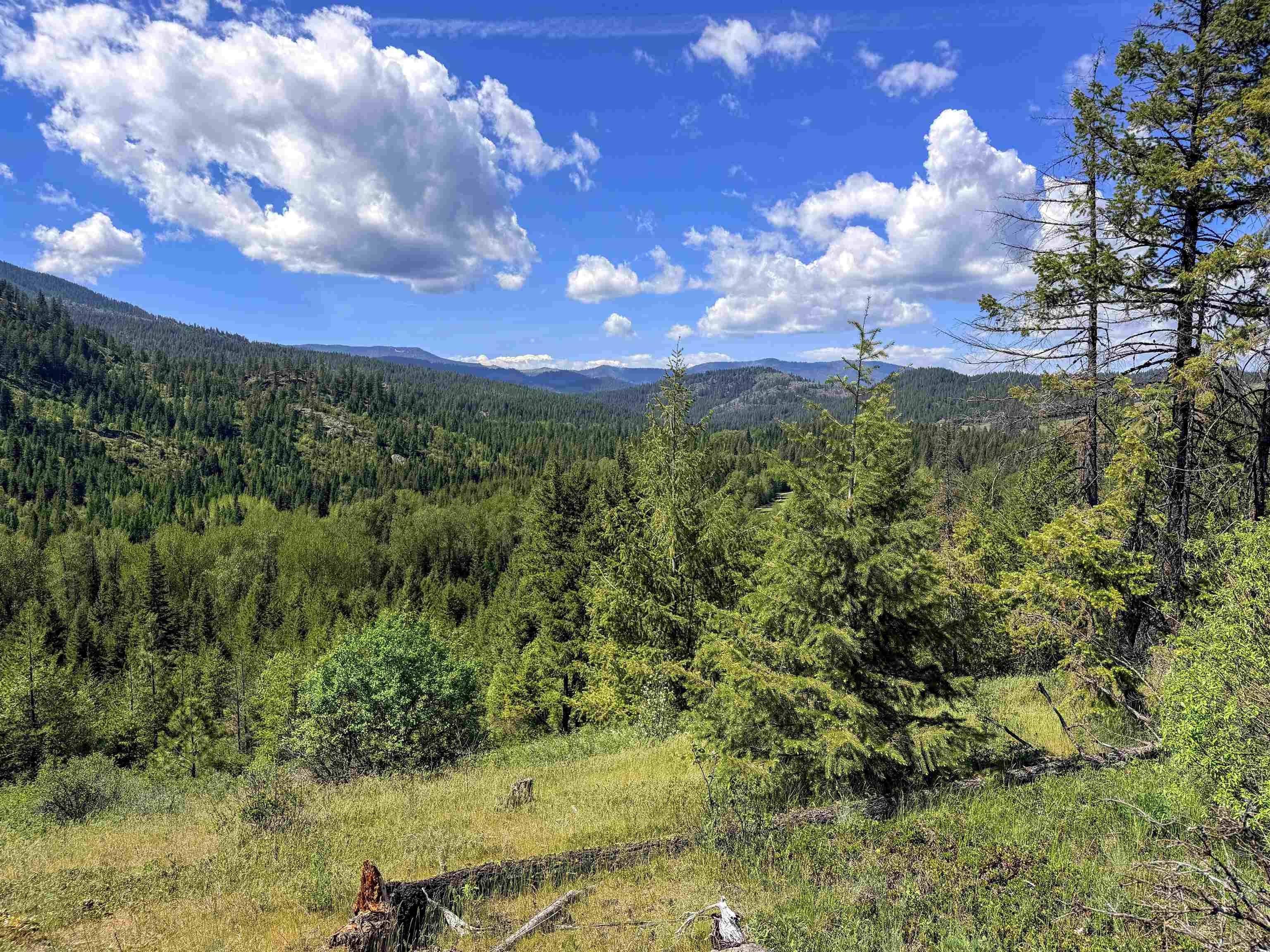 3499-TBD Waitts Lake South Rd, Valley, WA 99181