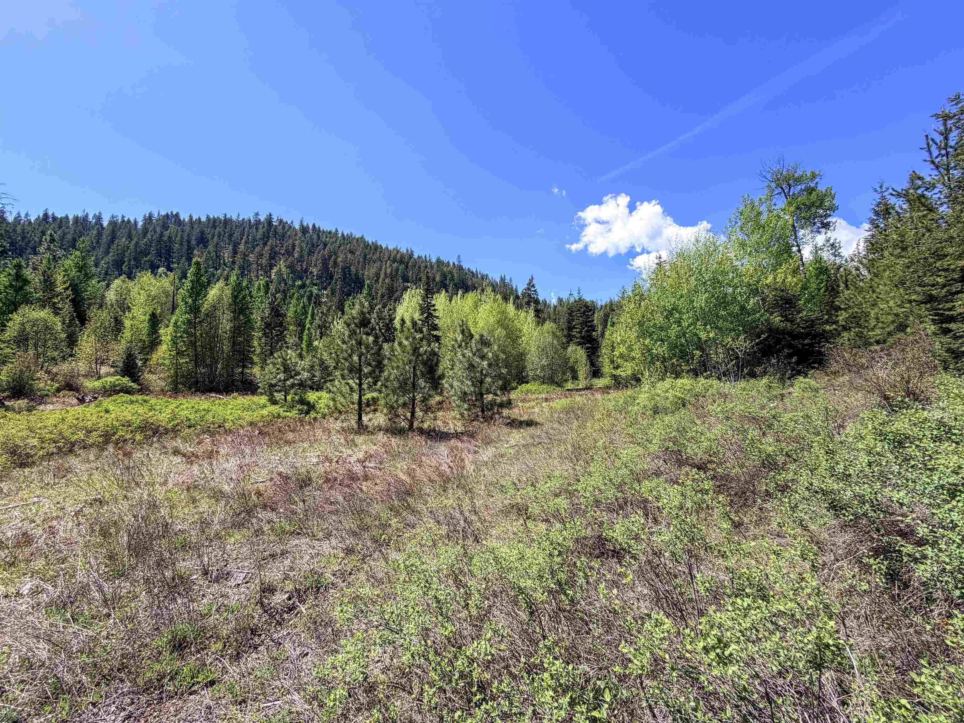 3499-TBD Waitts Lake South Rd, Valley, WA 99181