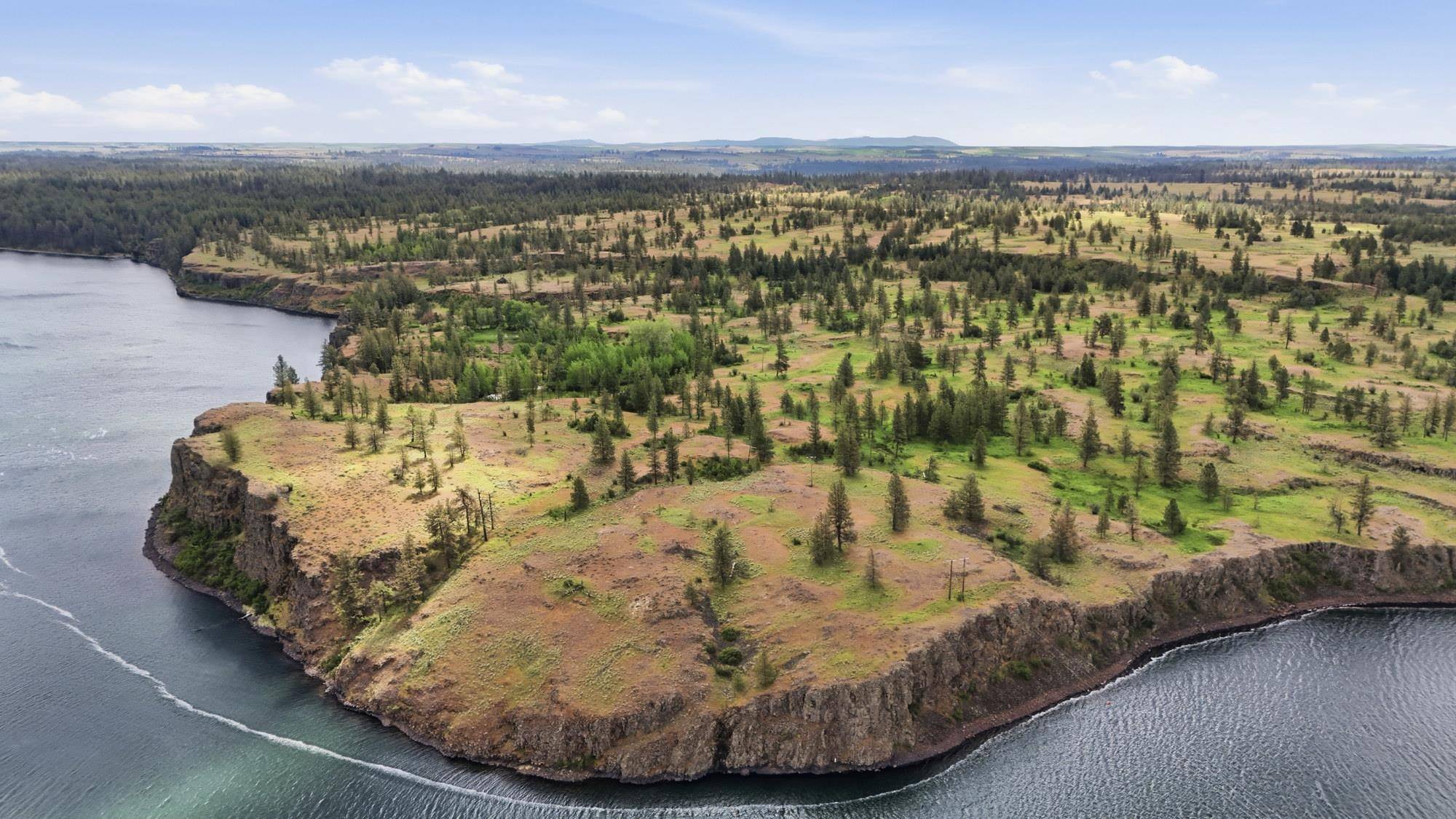 TBD Williams Lake Rd, Cheney, WA 99004