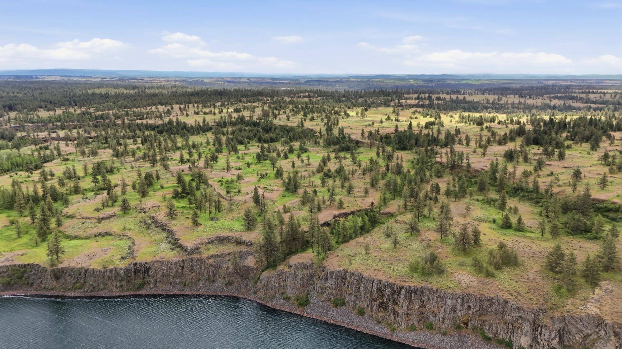 TBD Williams Lake Rd, Cheney, WA 99004