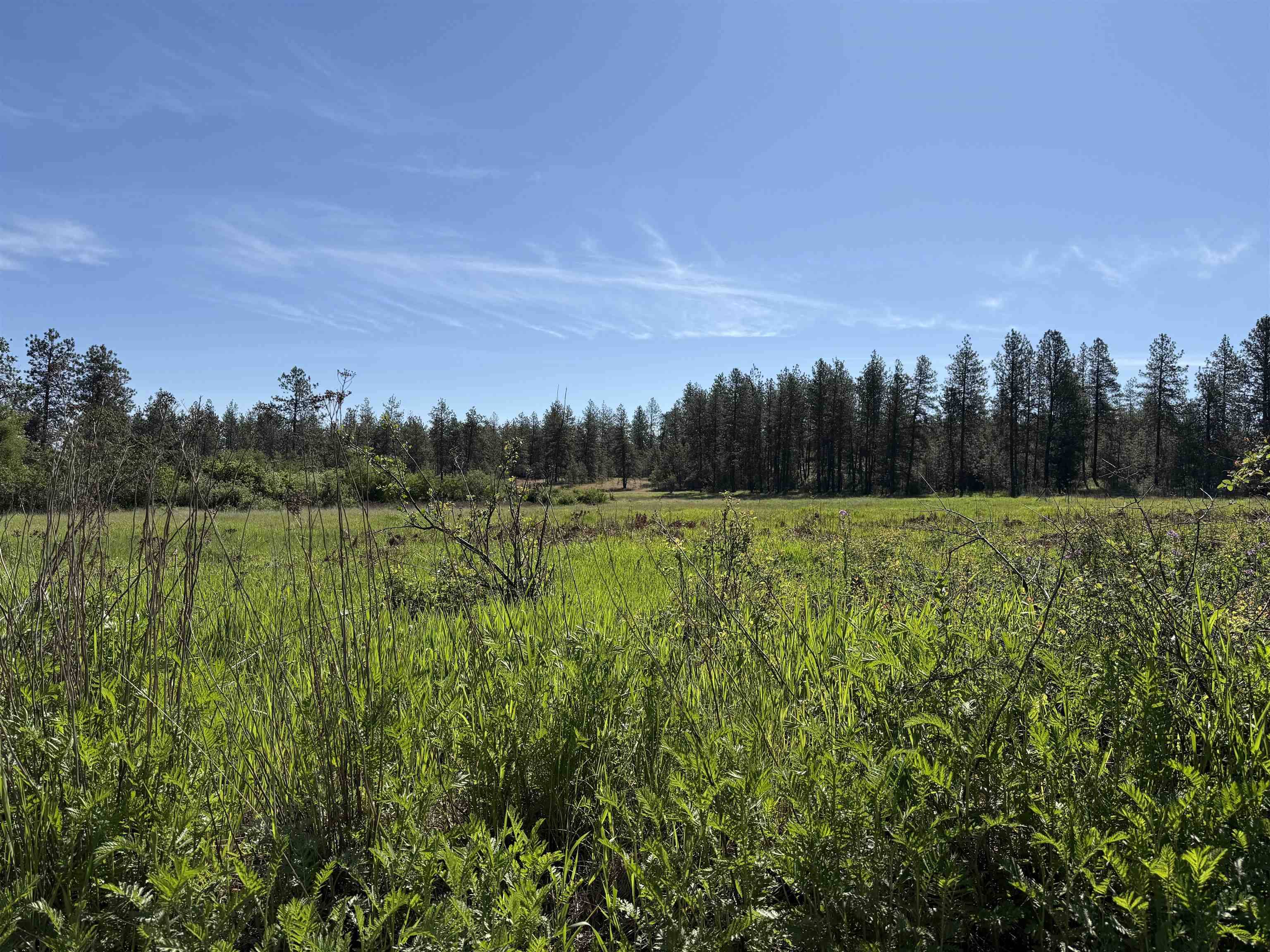34XX W Thorpe Rd, Spokane, WA 99224